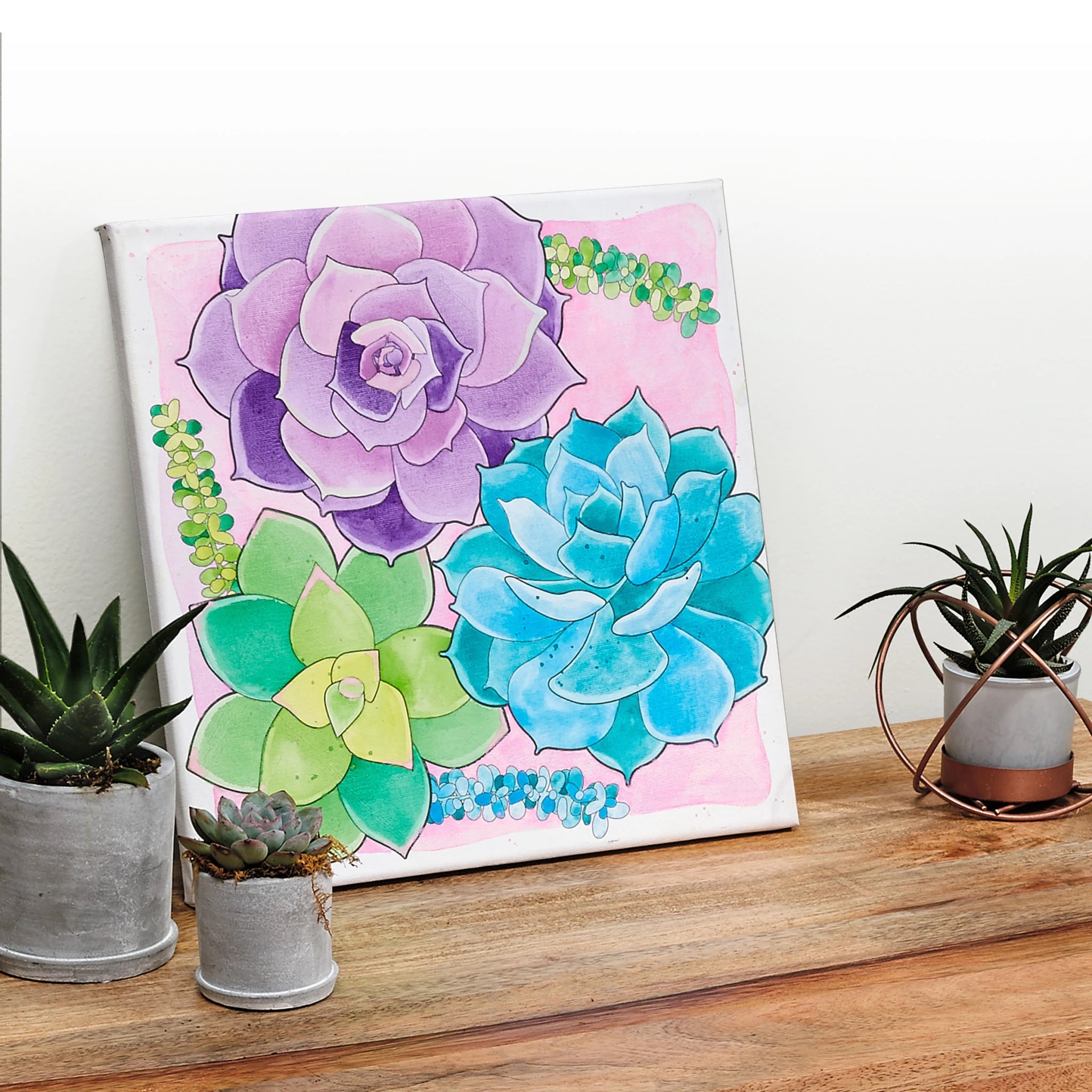 Paint By Number Watercolor Set - Succulents    