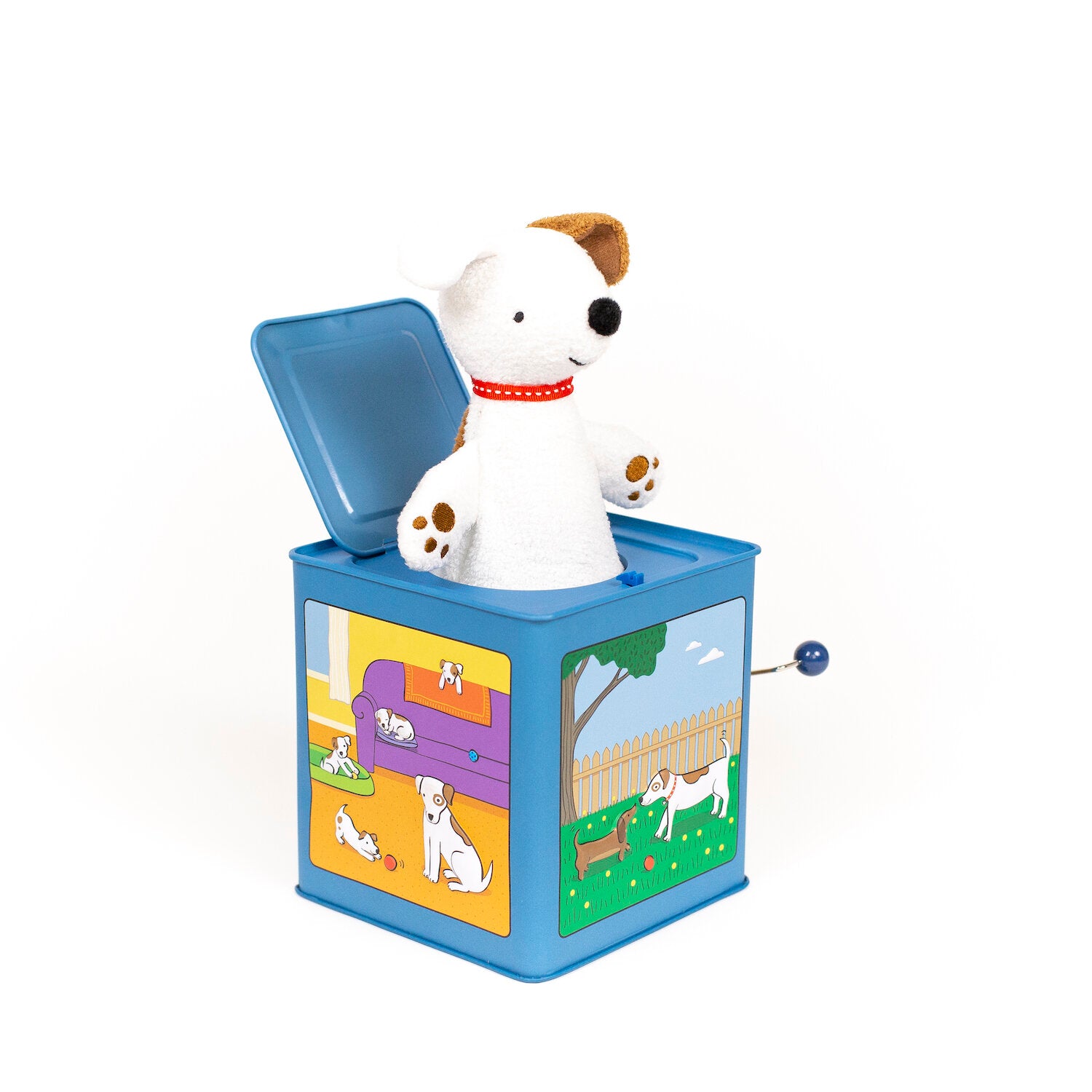 Jack Rabbit Jack The Dog - Jack In The Box