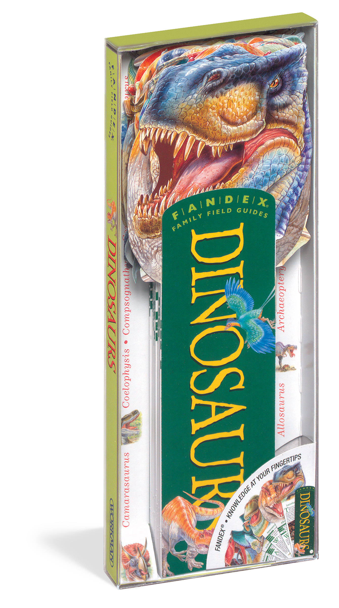Fandex Family Field Guide - Dinosaurs    