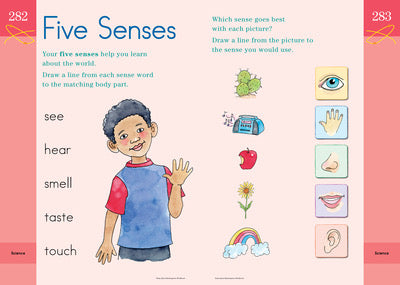 Brain Quest Workbook - Kindergarten    