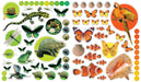 Eye Like Sticker Book - Animals    