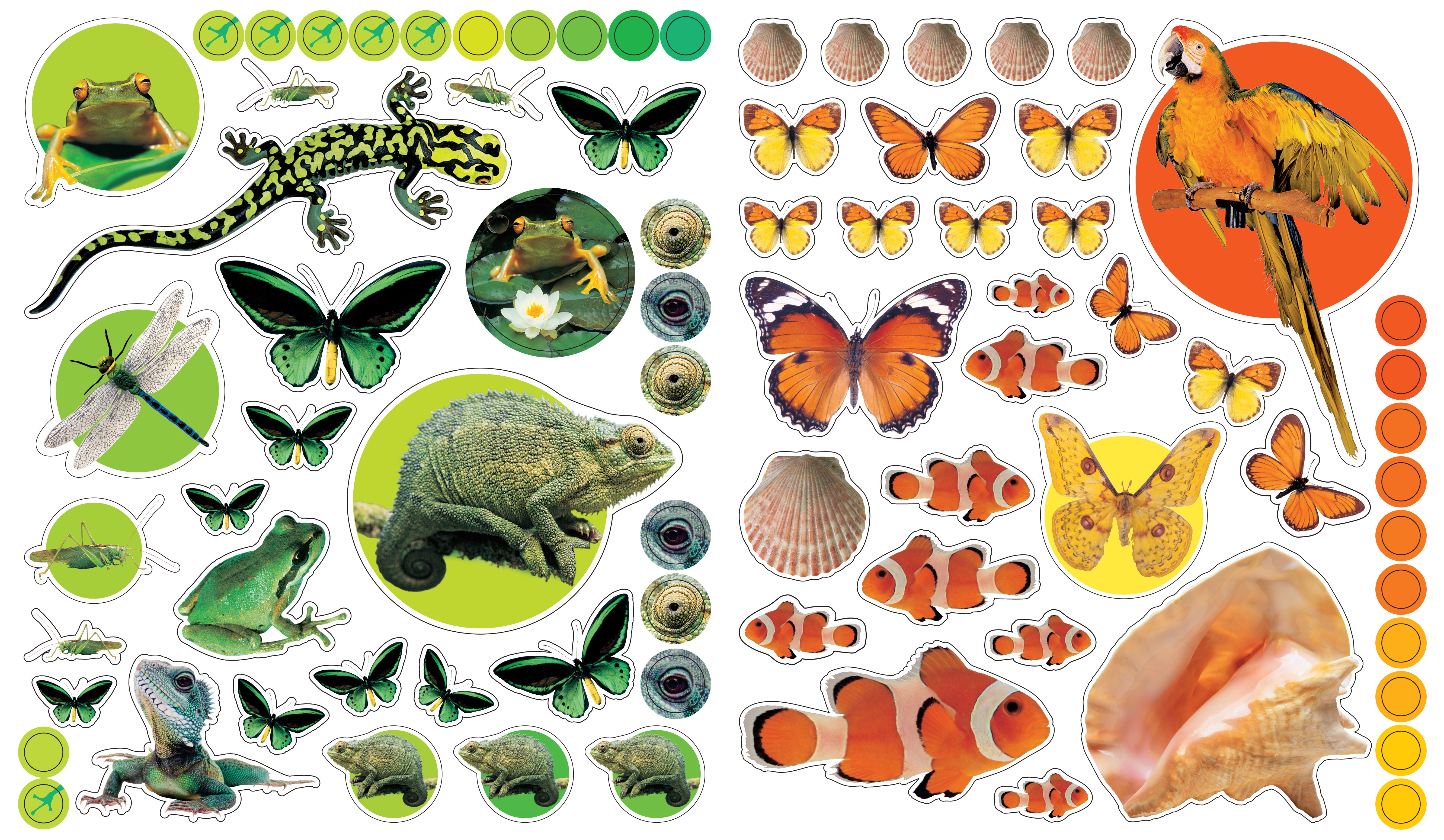 Eye Like Sticker Book - Animals    