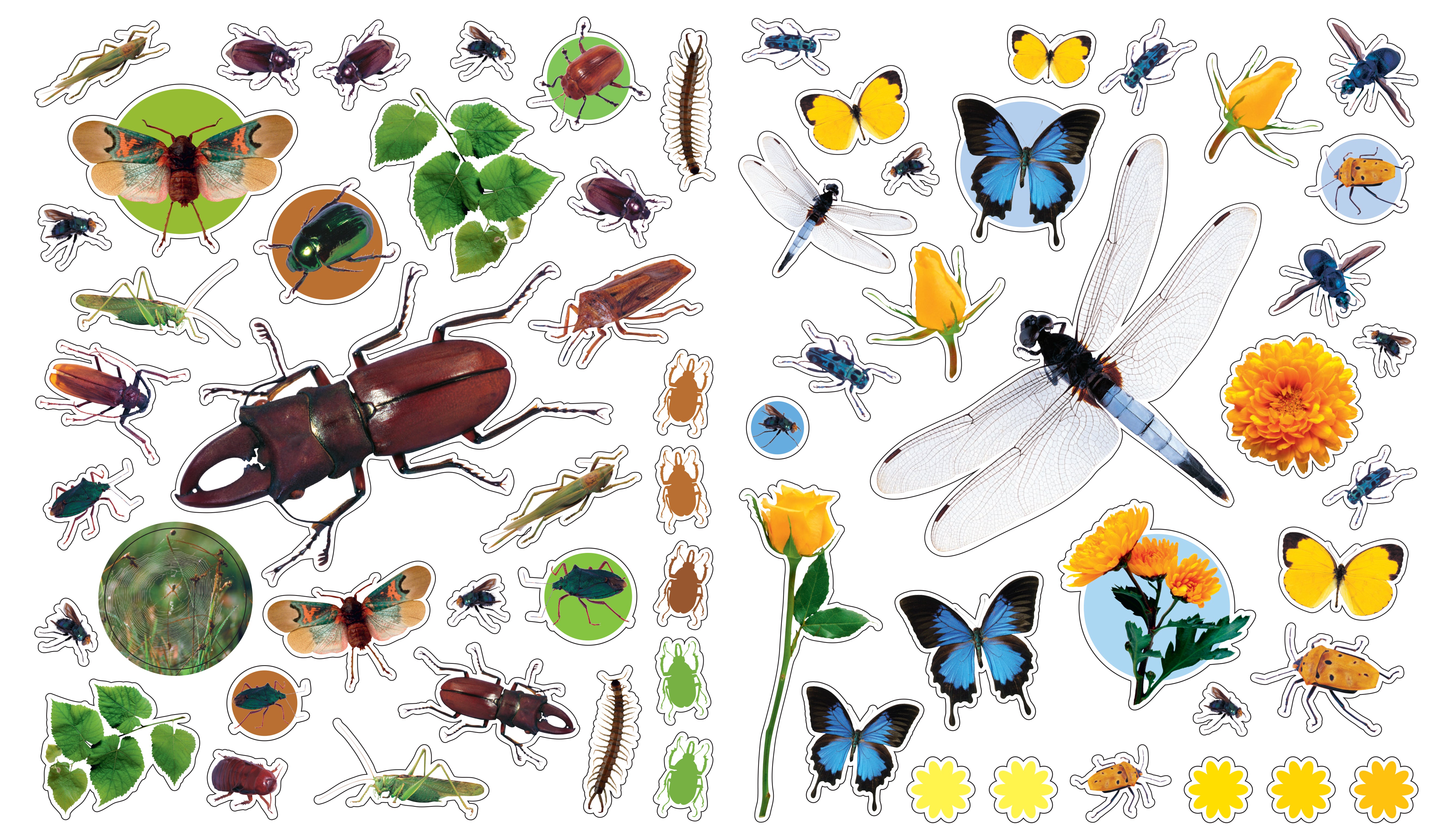 Eye Like Sticker Book - Bugs    