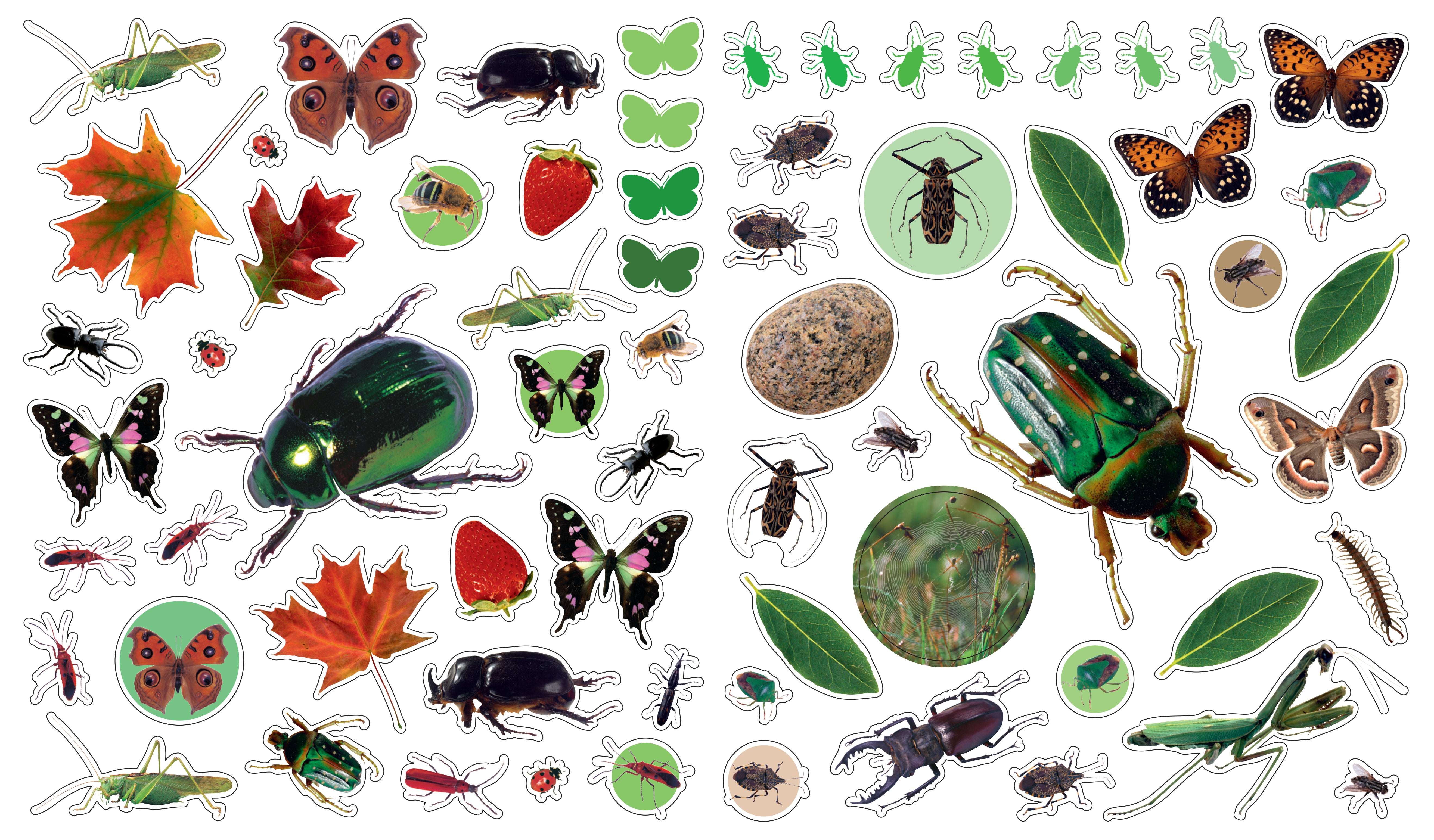 Eye Like Sticker Book - Bugs    