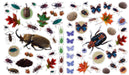 Eye Like Sticker Book - Bugs    