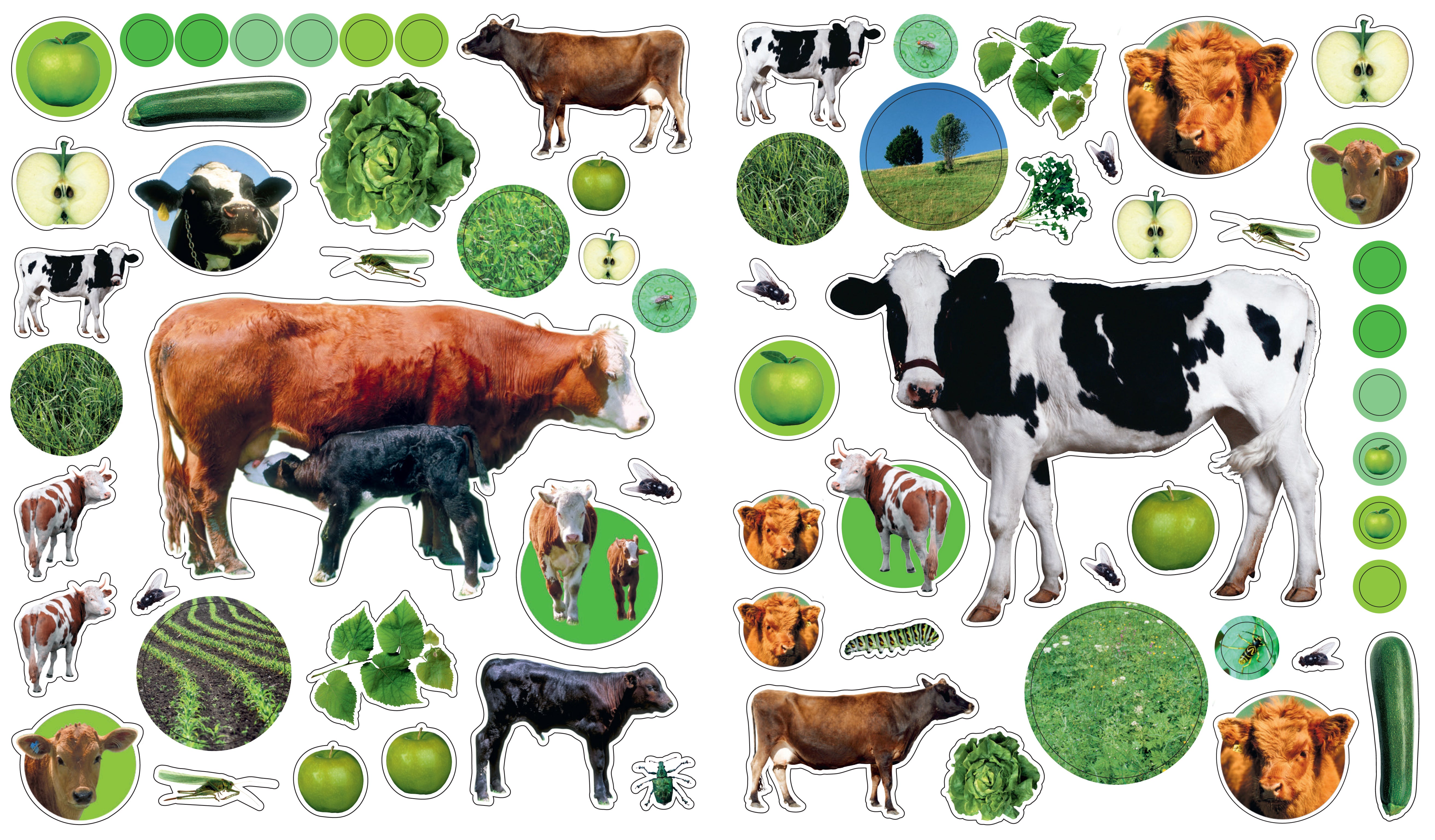 Eye Like Sticker Book - On The Farm    
