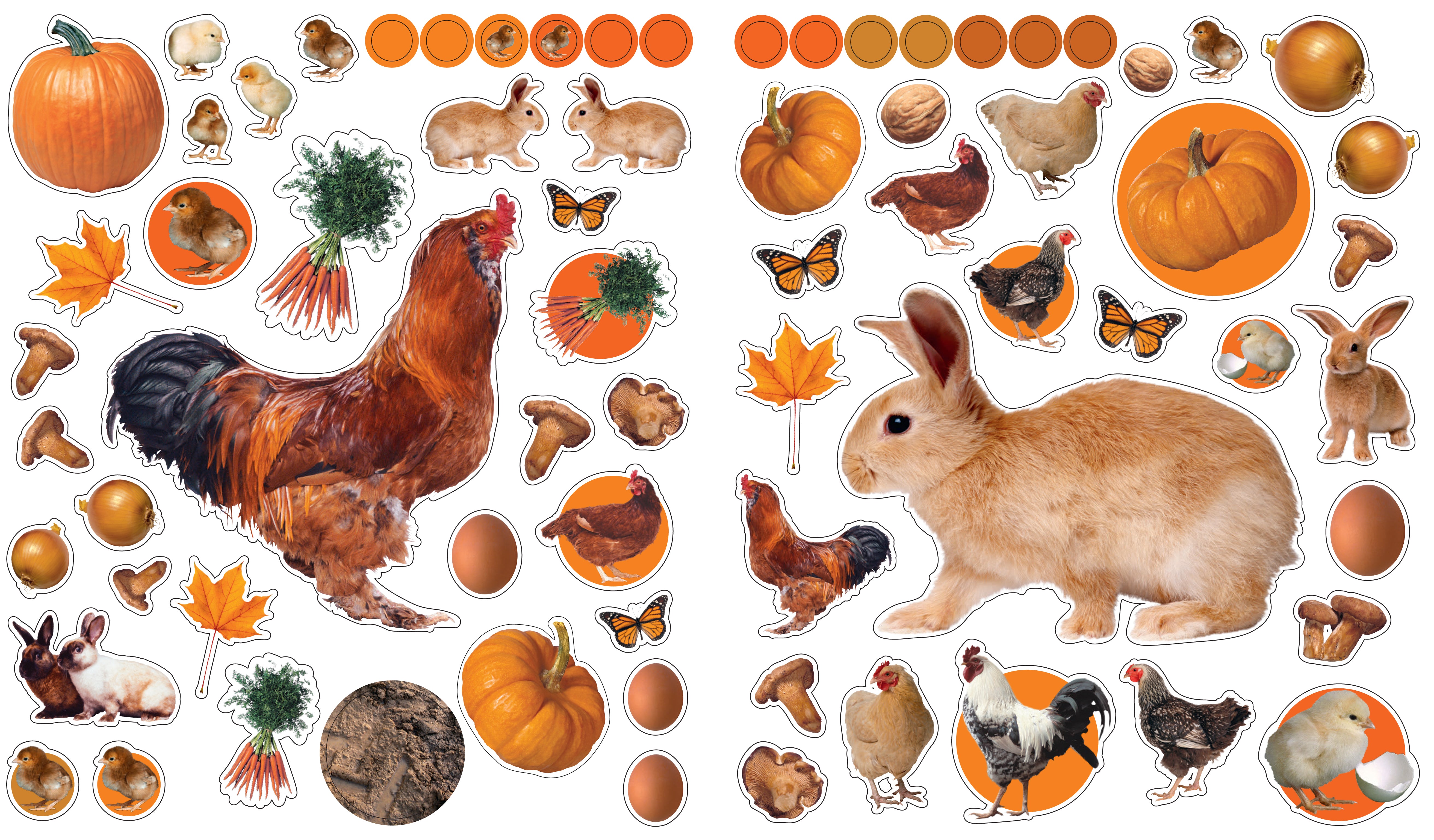Eye Like Sticker Book - On The Farm    
