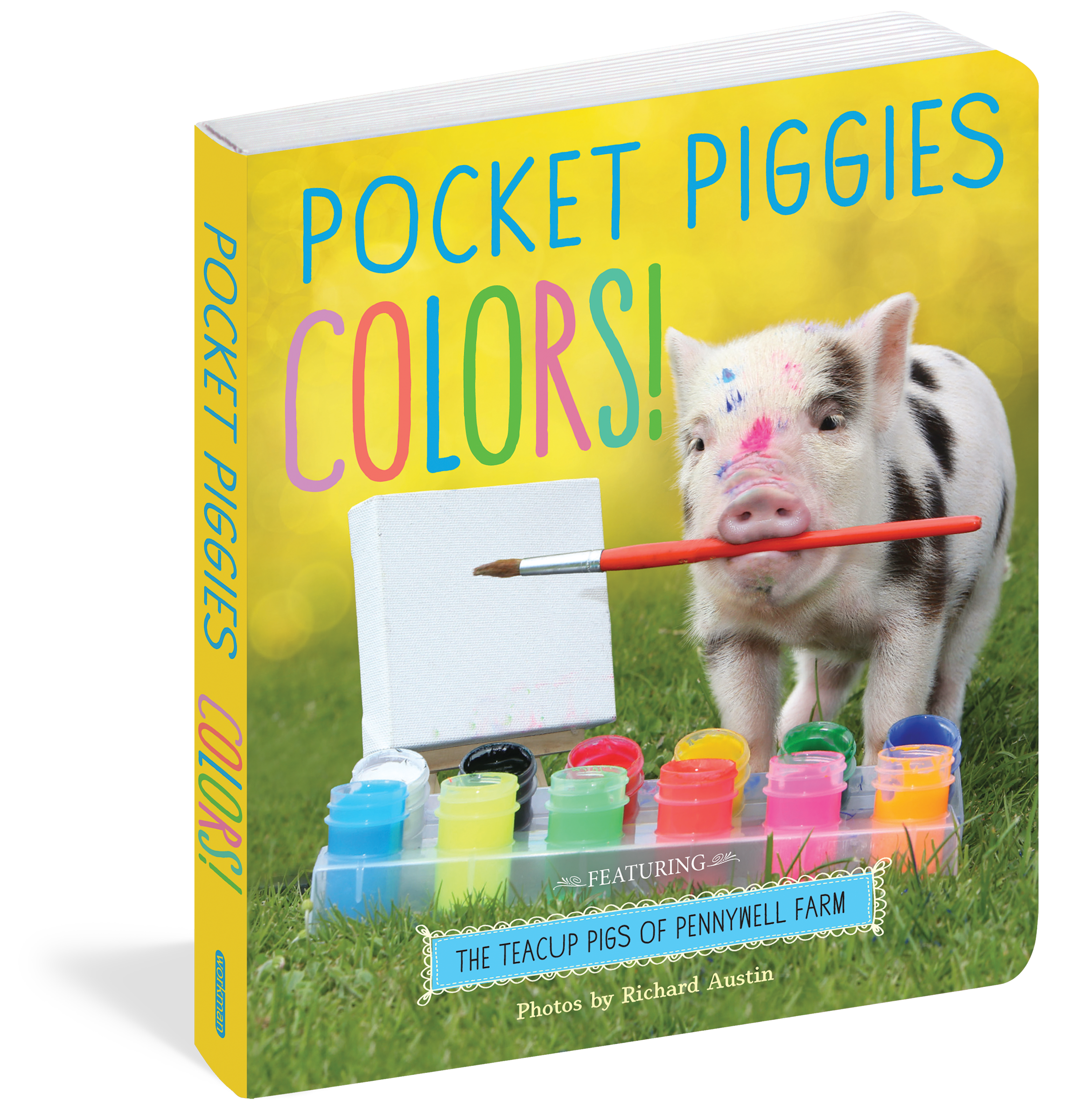 Pocket Piggies Colors!    