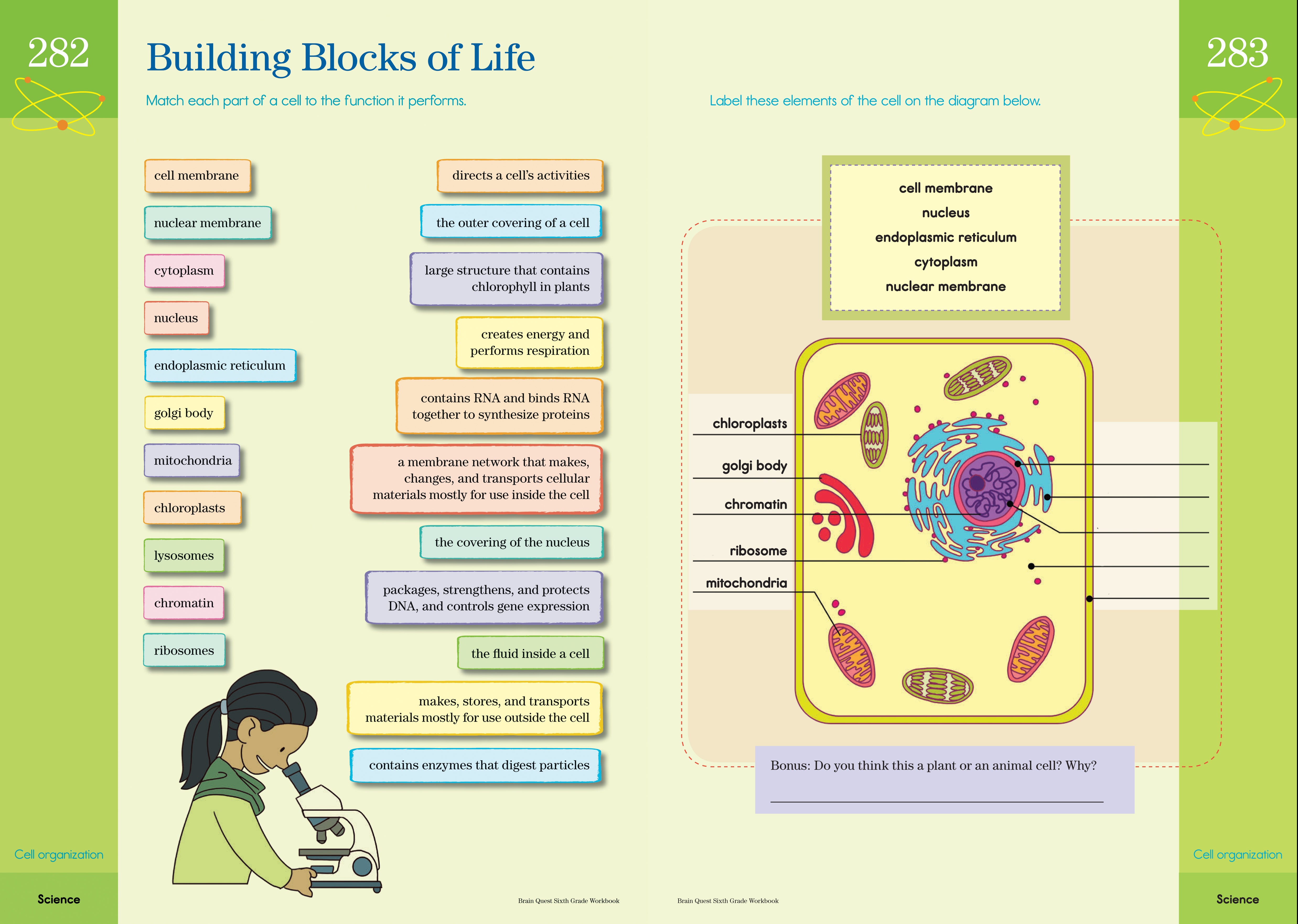Brainquest Workbook - 6th Grade    