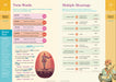 Brain Quest Workbook - 5th Grade    