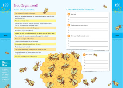 Brain Quest Workbook - 5th Grade    