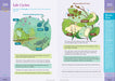 Brain Quest Workbook - 5th Grade    