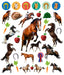 Eye Like Sticker Book - Horses    
