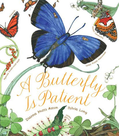 A Butterfly Is Patient    