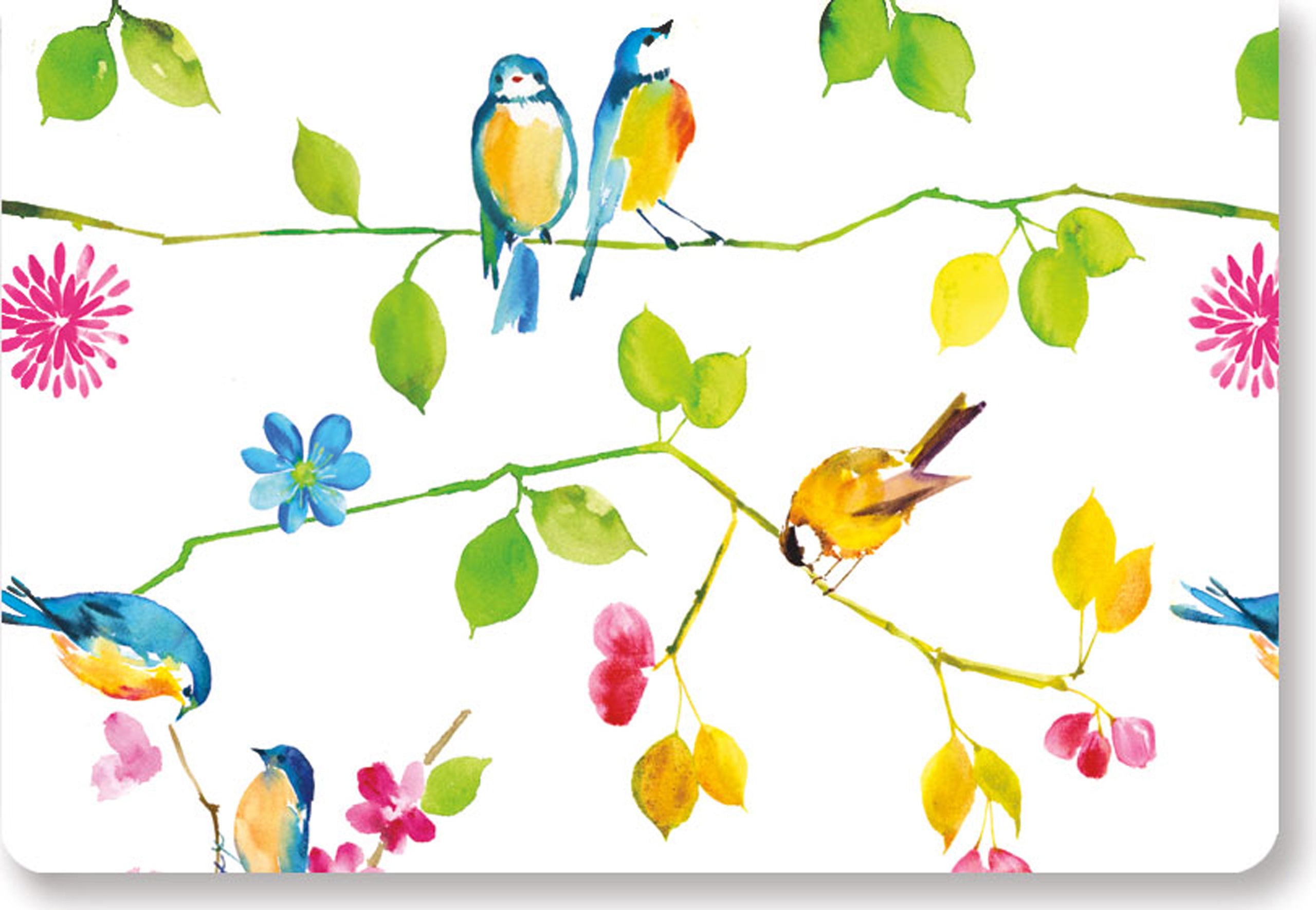 Boxed Note Cards - Watercolor Birds    
