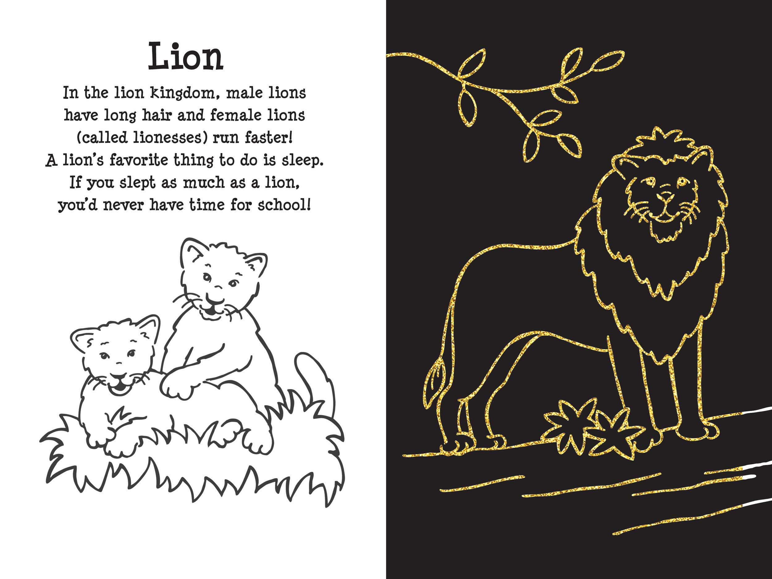 Scratch And Sketch At The Zoo    