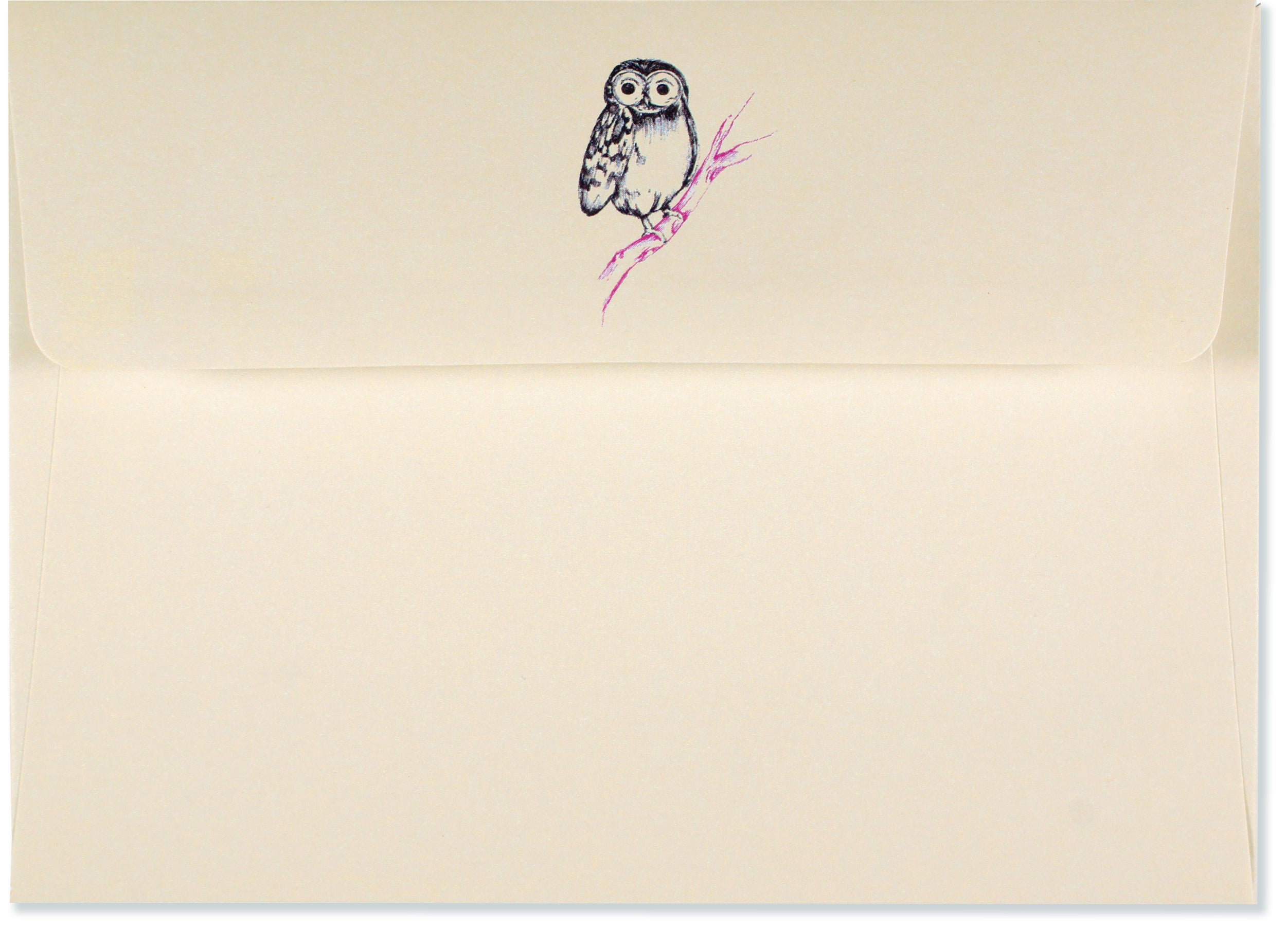 Boxed Note Cards - Owl Portrait    