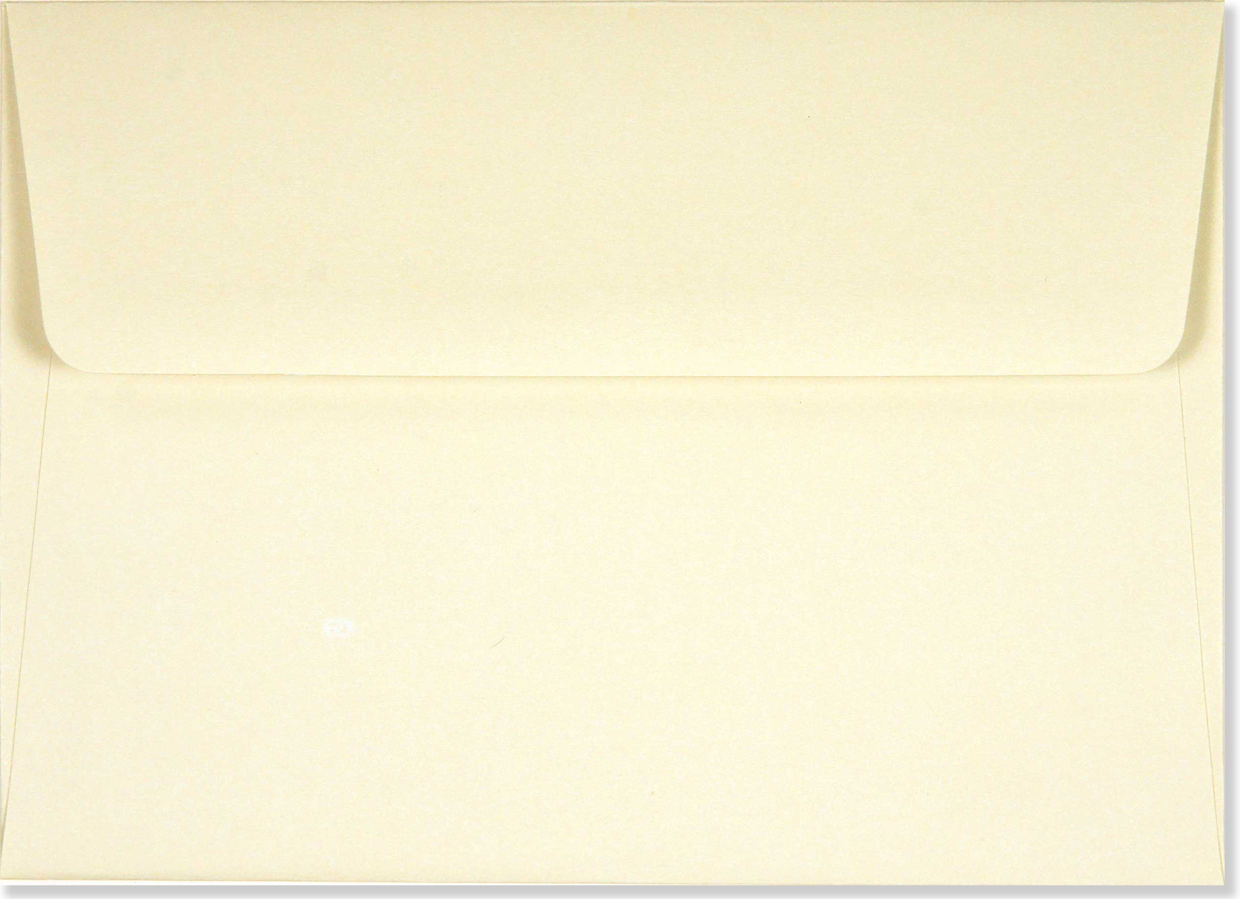 Navy Blue - Boxed Thank You Cards    