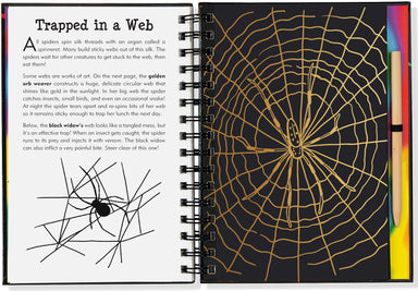Scratch And Sketch - Bugs!    