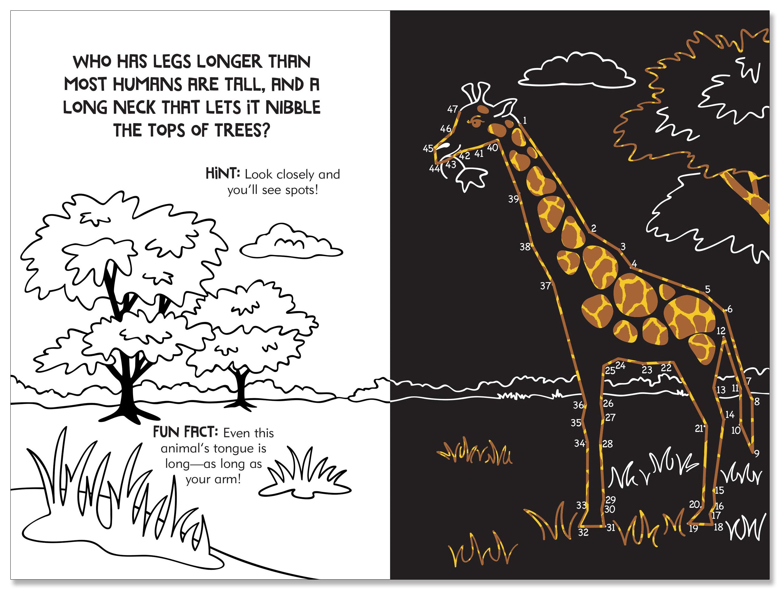 Scratch and Sketch - Dot To Dot Animals    