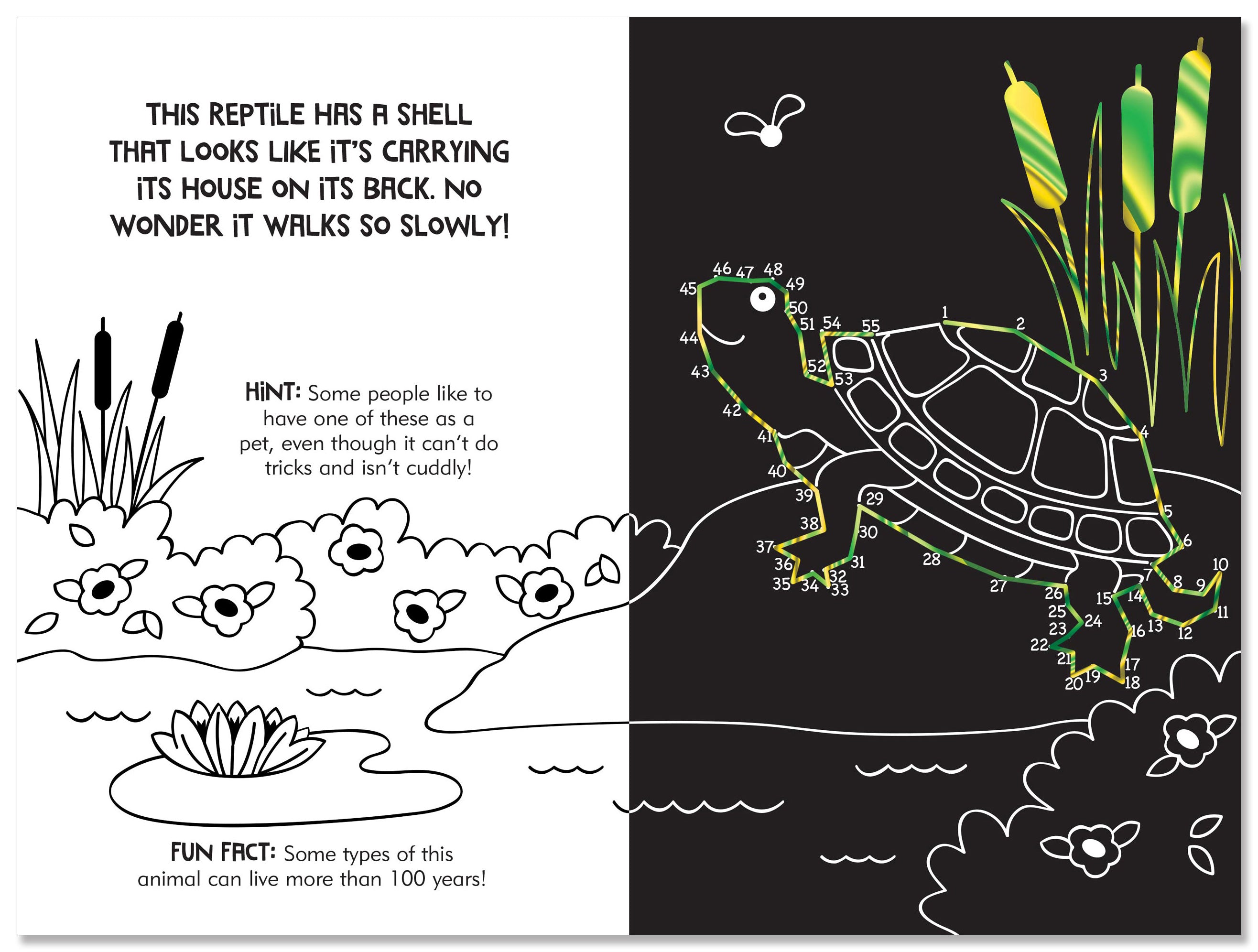 Scratch and Sketch - Dot To Dot Animals    