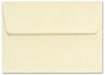 Boxed Thank You Cards - Waterdcolor Quill    