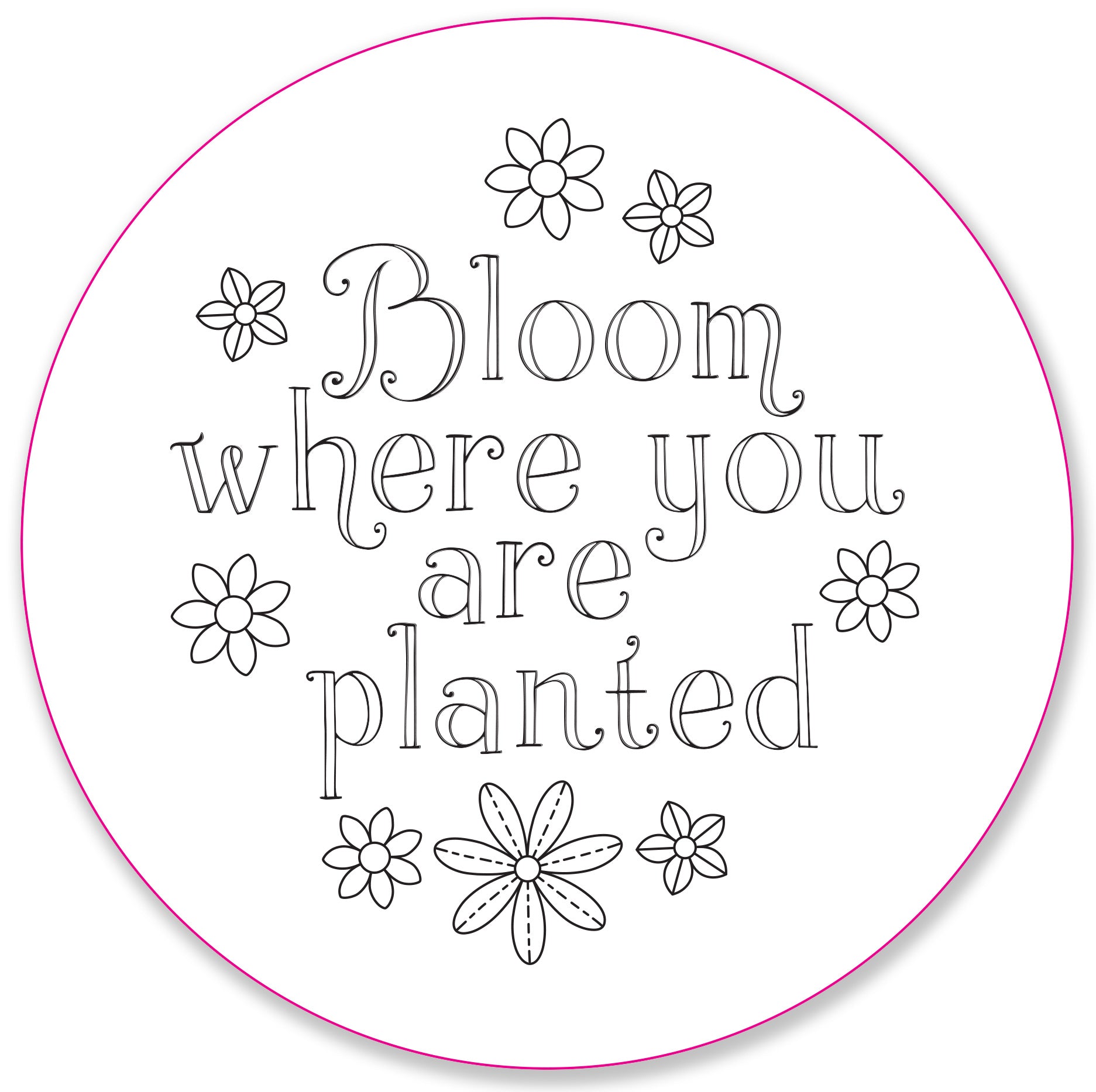 Embroidery Pattern Transfers - Set of 10 Blooms & Succulents    