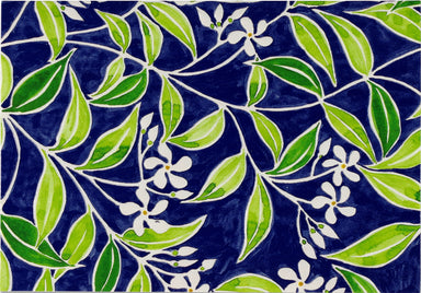 Boxed Note Cards - Jasmine    
