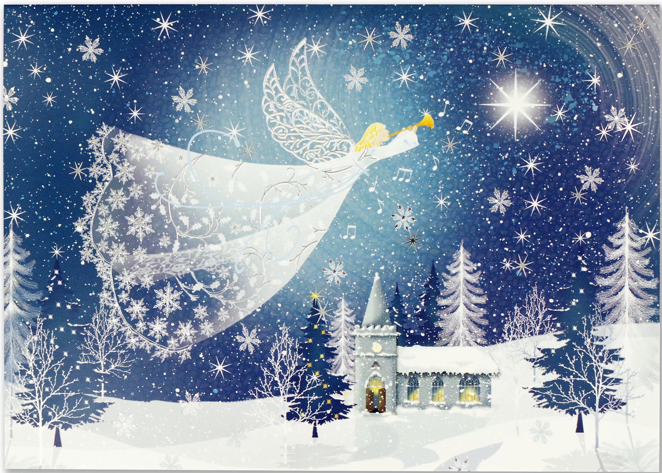 Deluxe Boxed Christmas Cards - Tidings Of Joy    