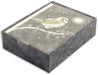 Boxed Christmas Cards - Starry Night Owl    