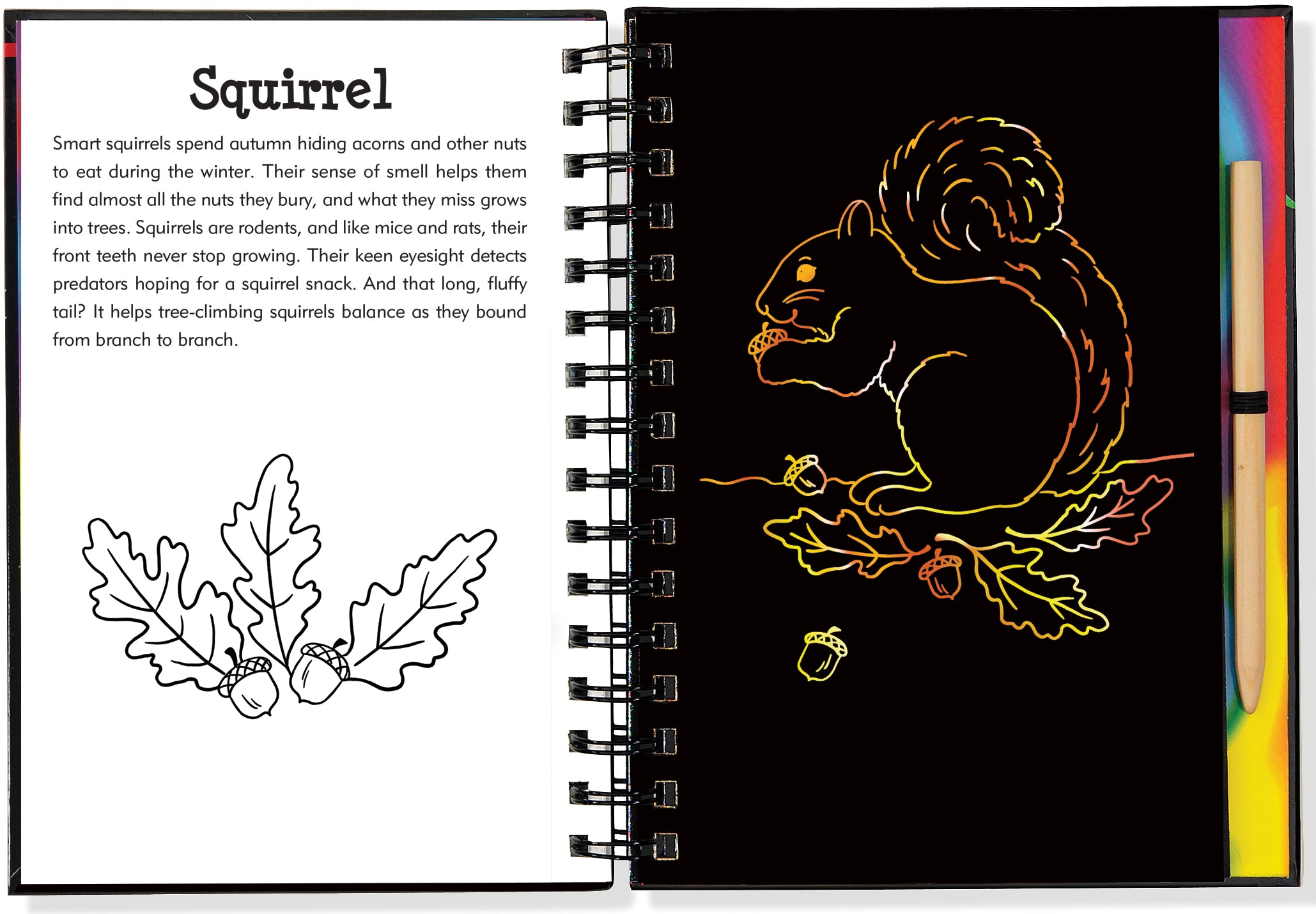 Scratch And Sketch - Forest Friends    