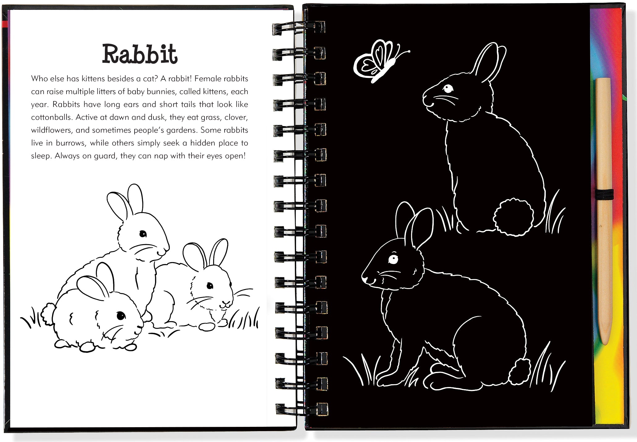 Scratch And Sketch - Forest Friends    