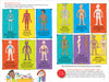 100 Questions About The Human Body    