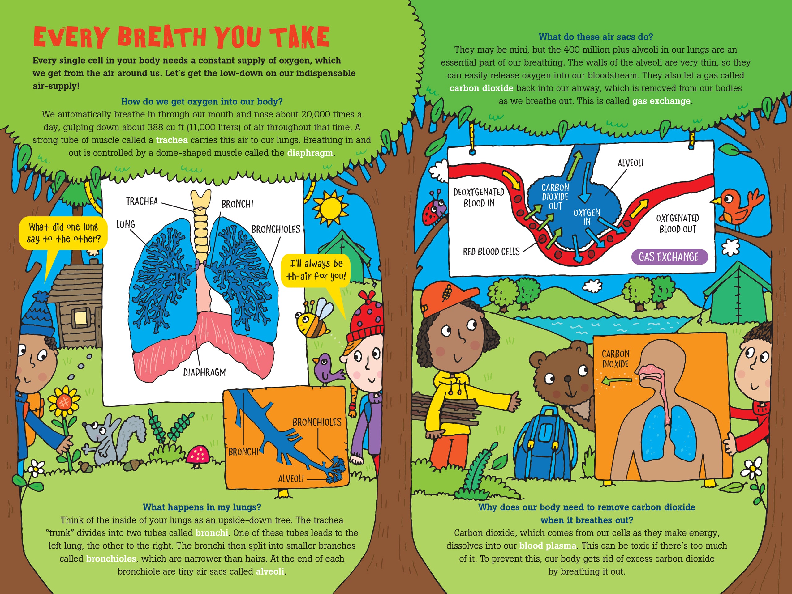 100 Questions About The Human Body    