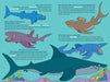 100 Questions About Sharks    
