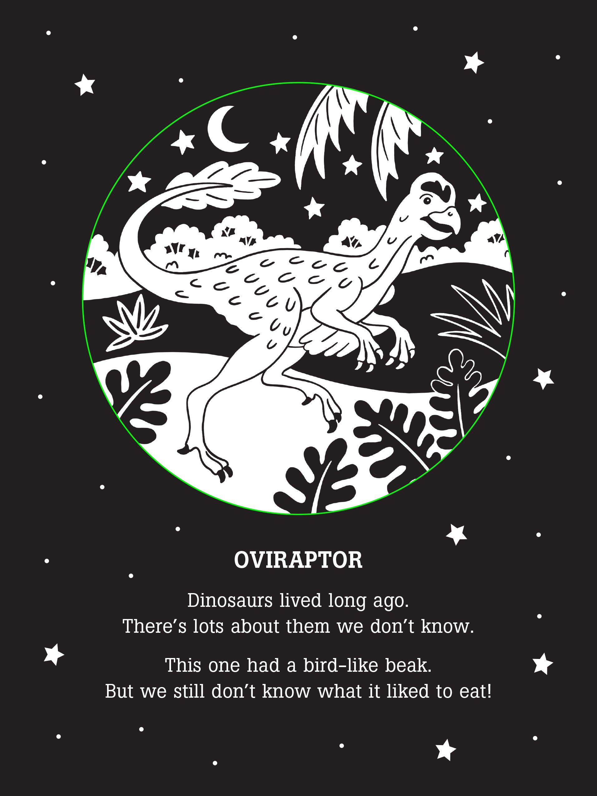 Dinos After Dark - A Bedtime Shadow Book    