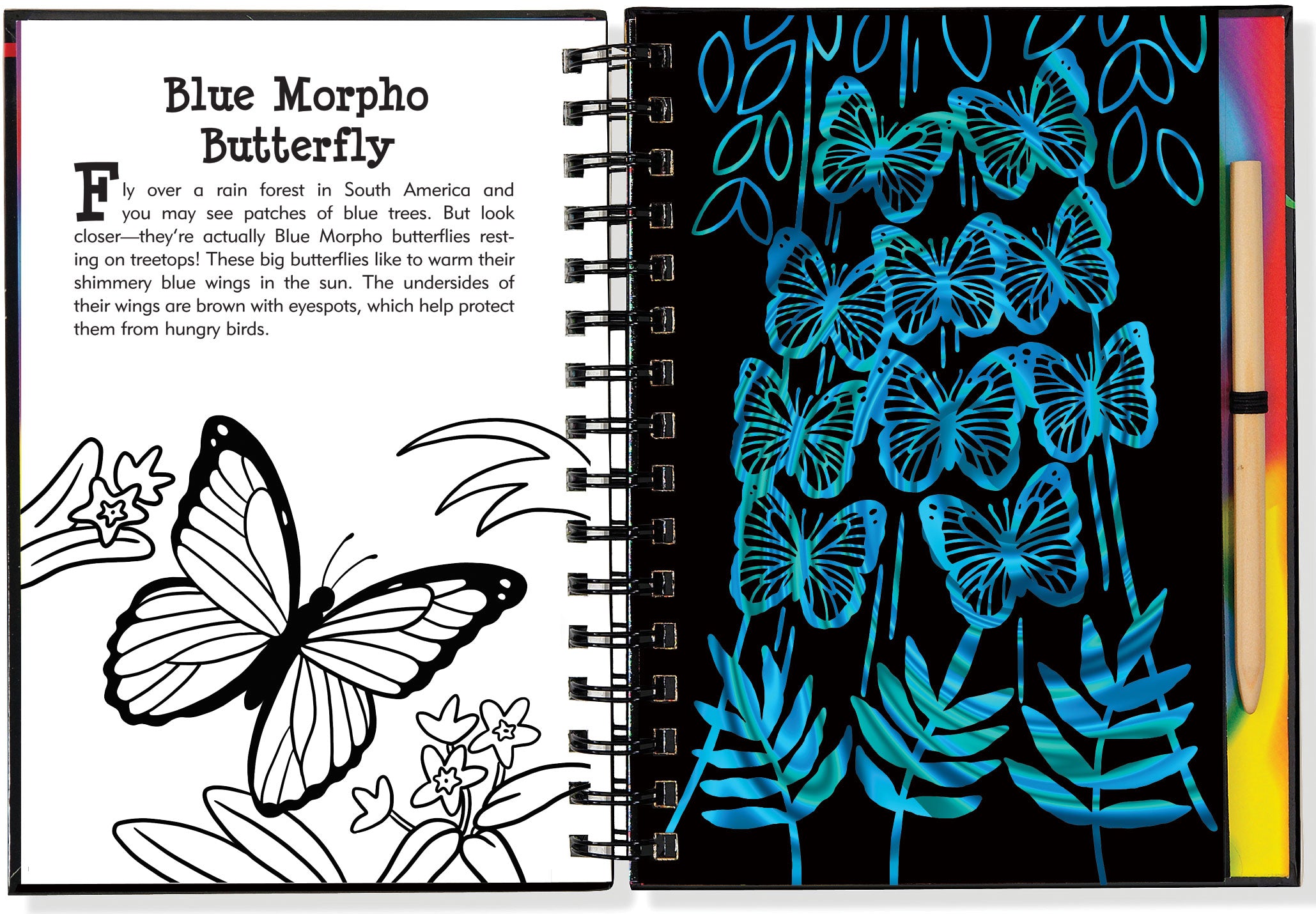 Scratch And Sketch - Butterflies And Friends    