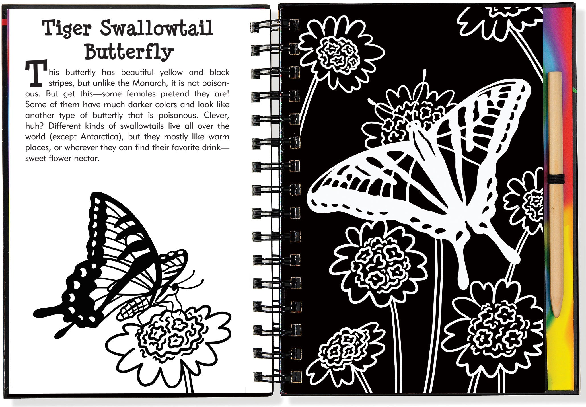 Scratch And Sketch - Butterflies And Friends    