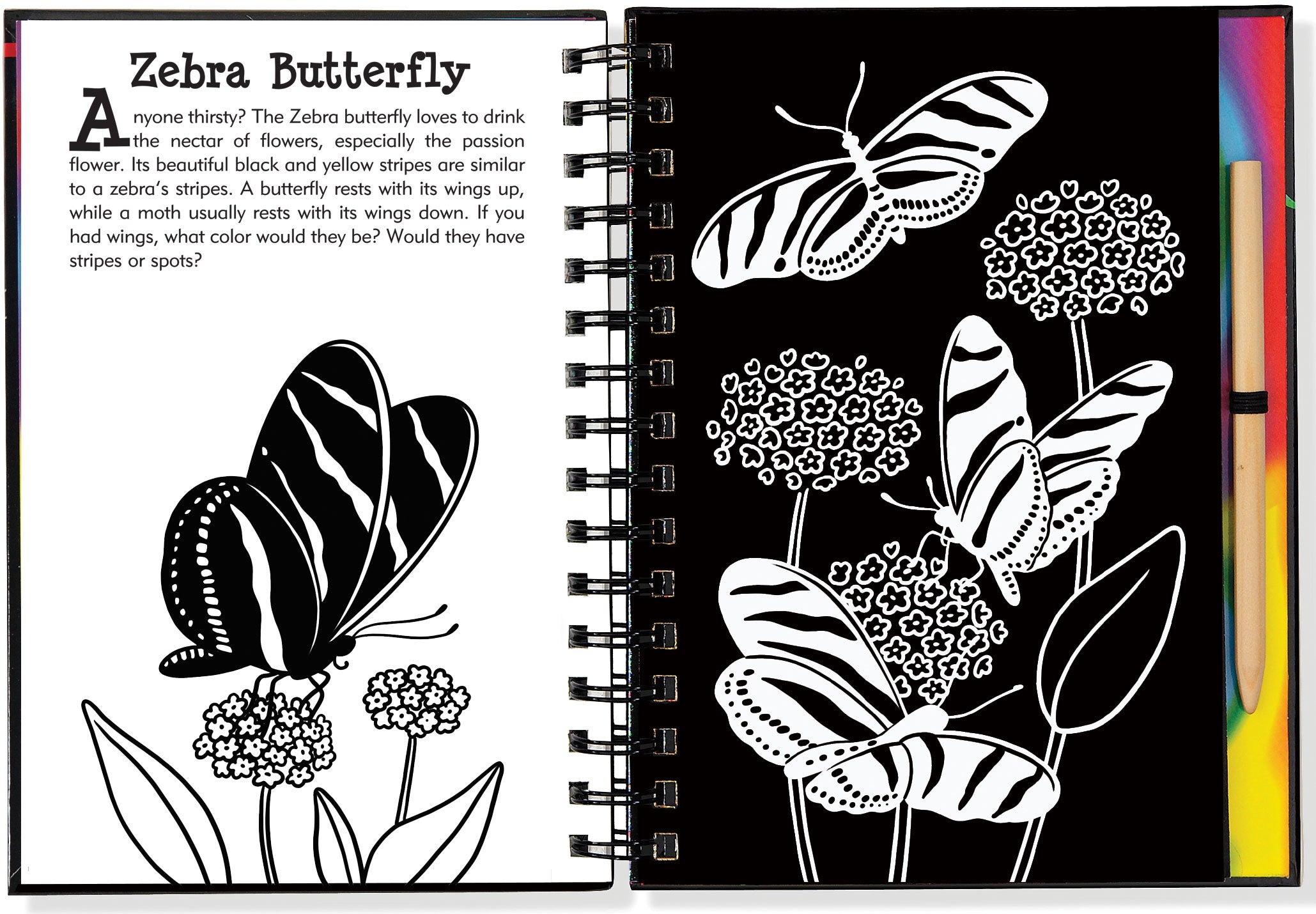 Scratch And Sketch - Butterflies And Friends    