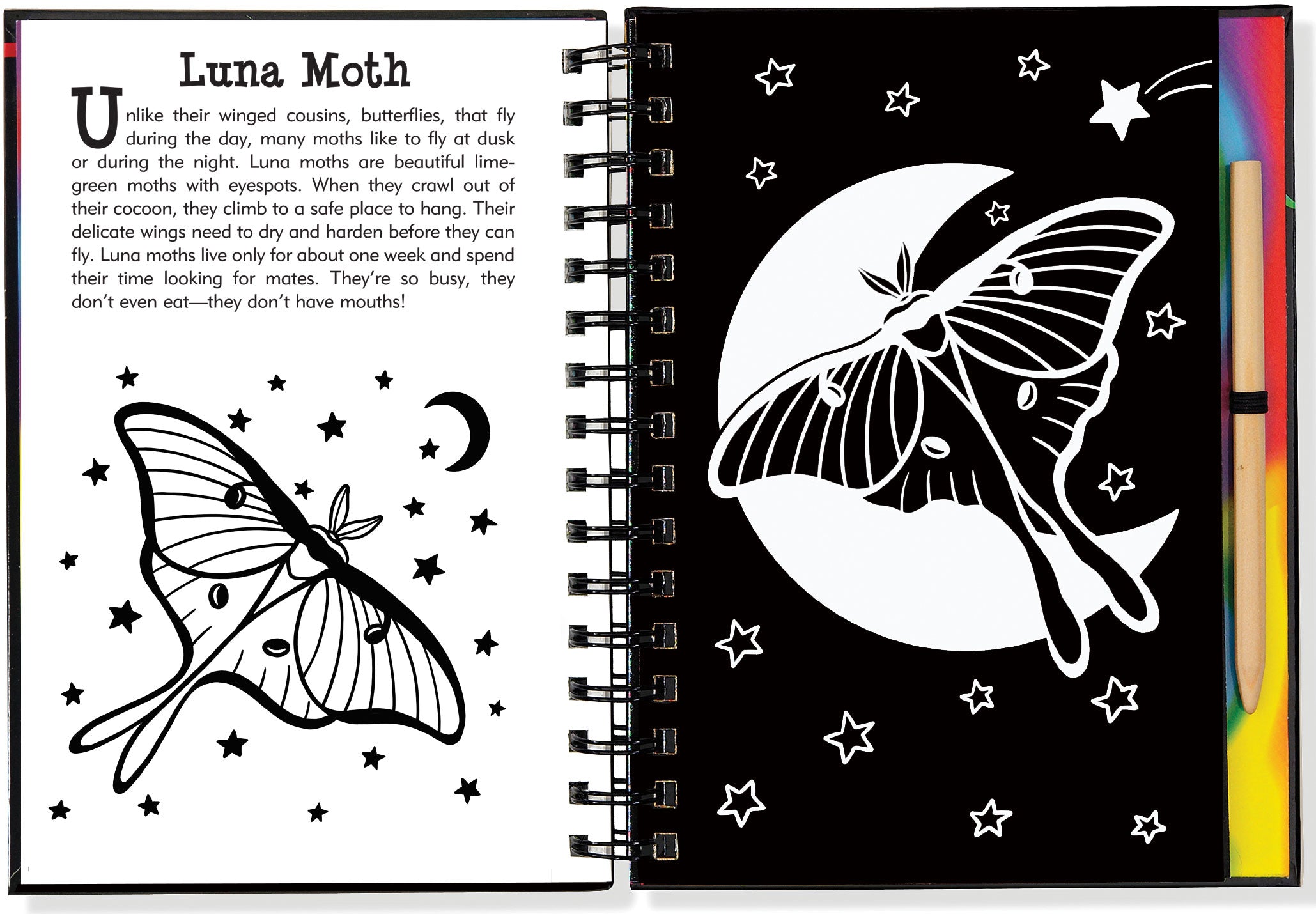 Scratch And Sketch - Butterflies And Friends    