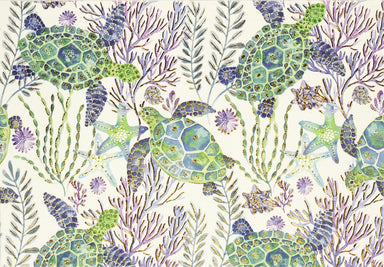 Boxed Note Cards - Sea Turtles    