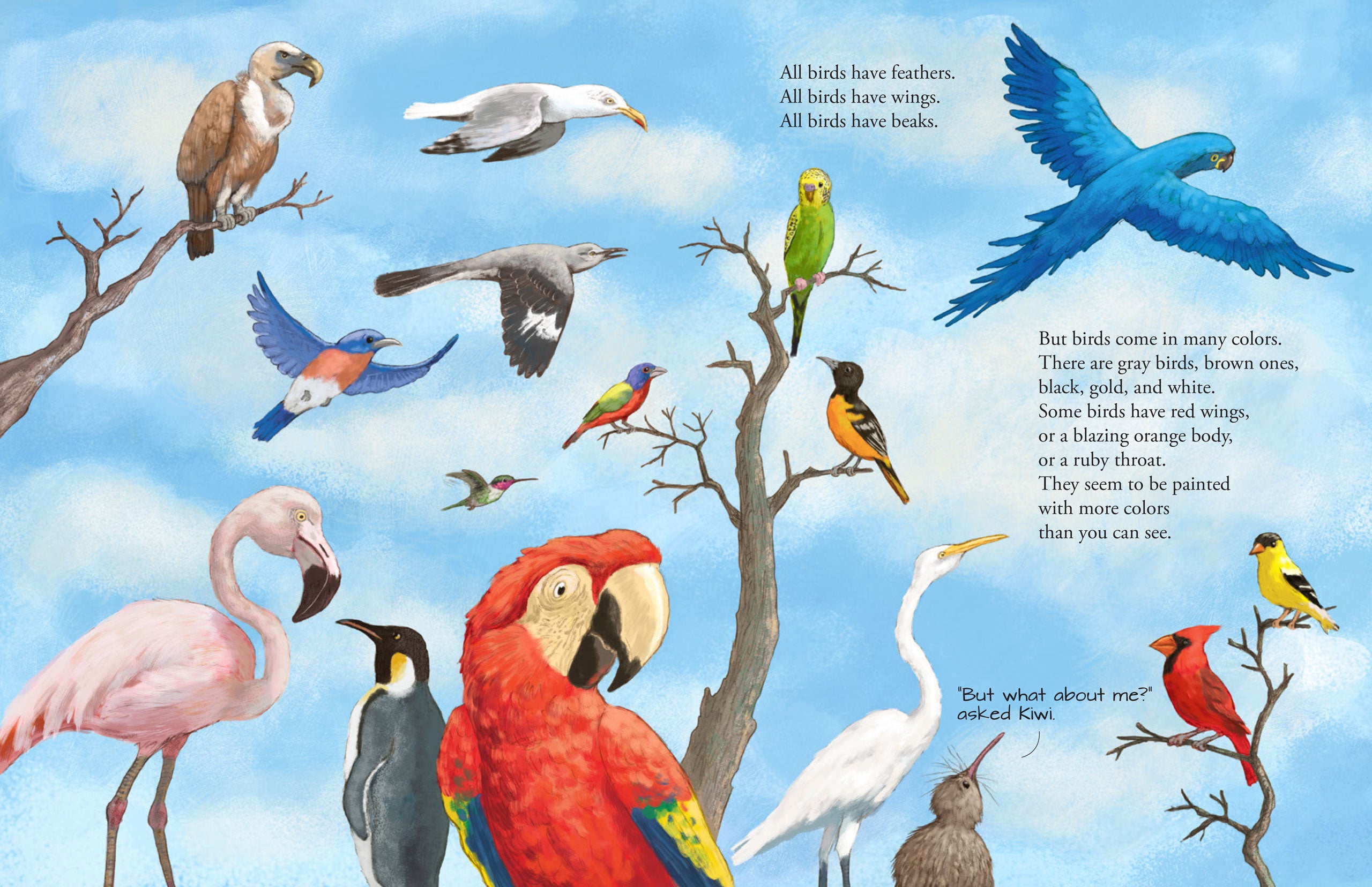 All the Birds in the World    