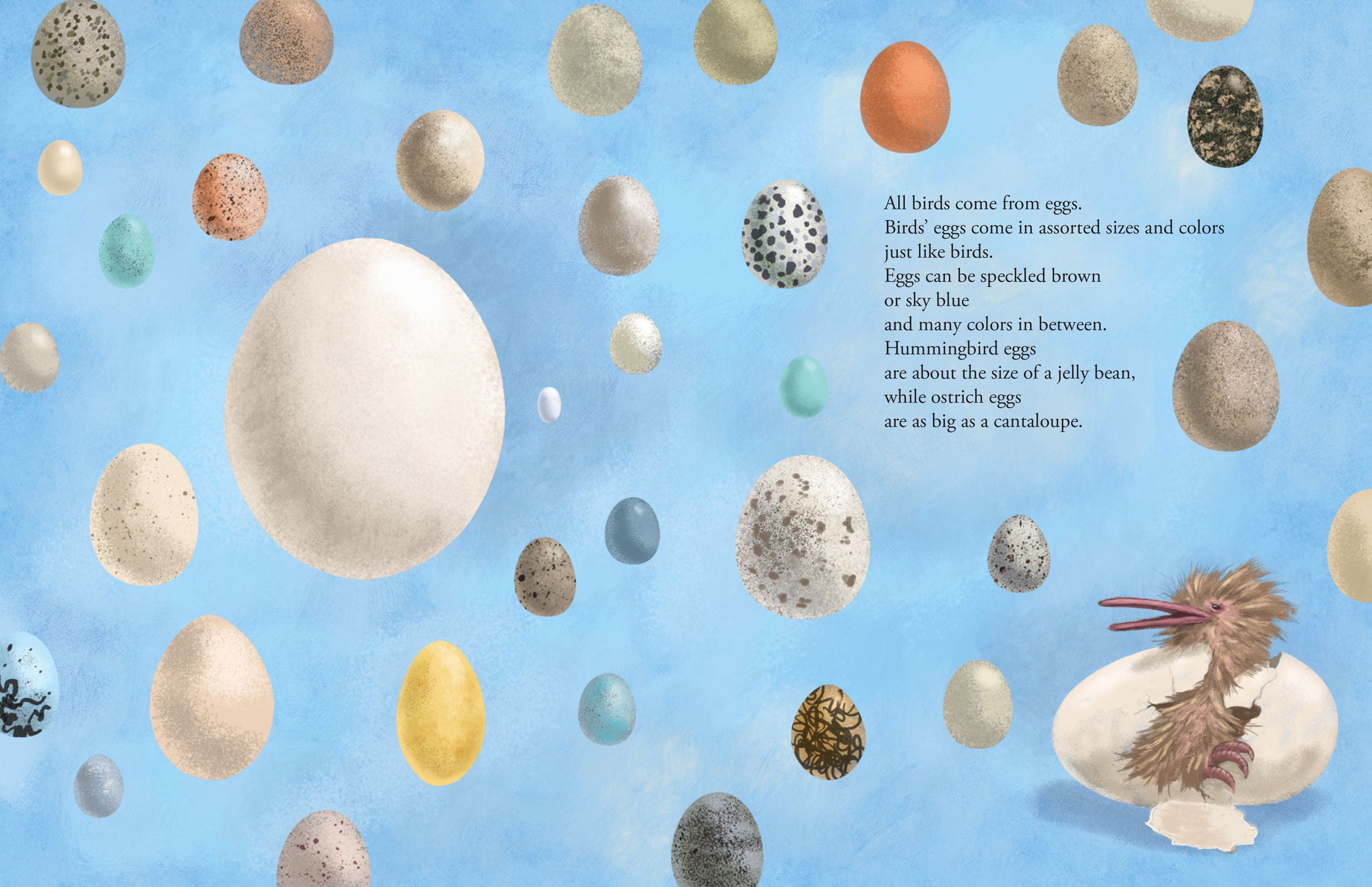 All the Birds in the World    