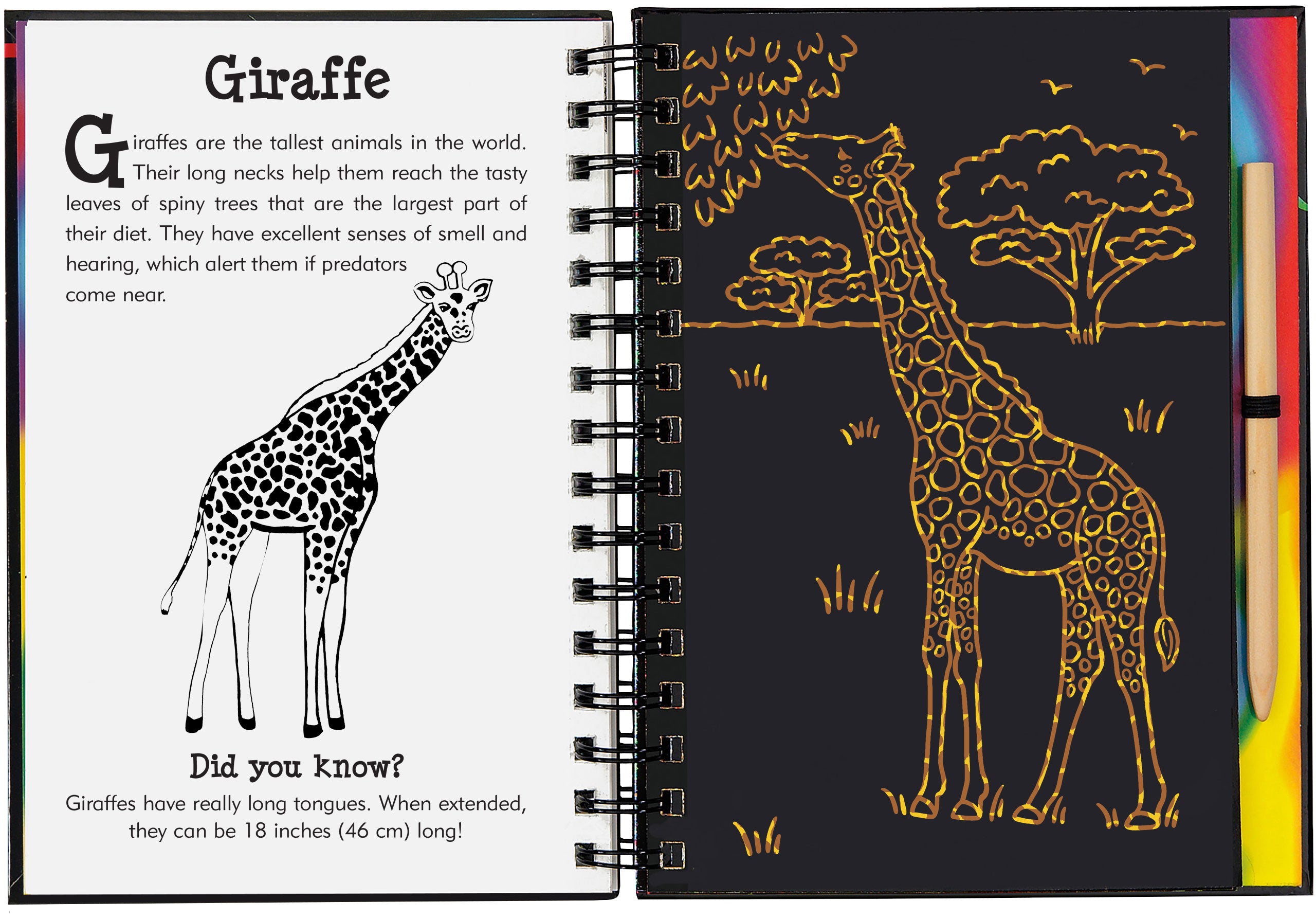 Scratch And Sketch - Wild Safari    