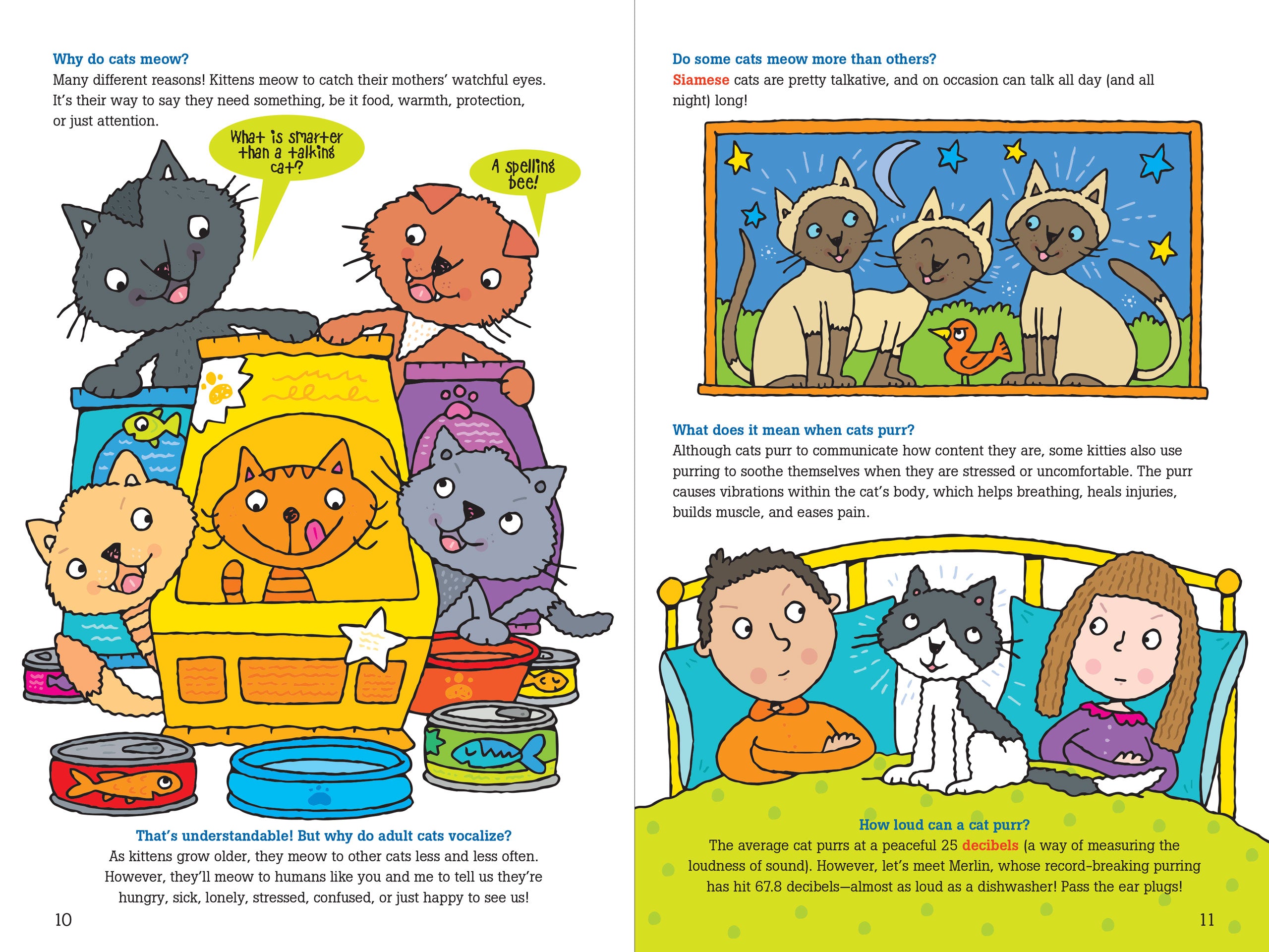 100 Questions About Cats    