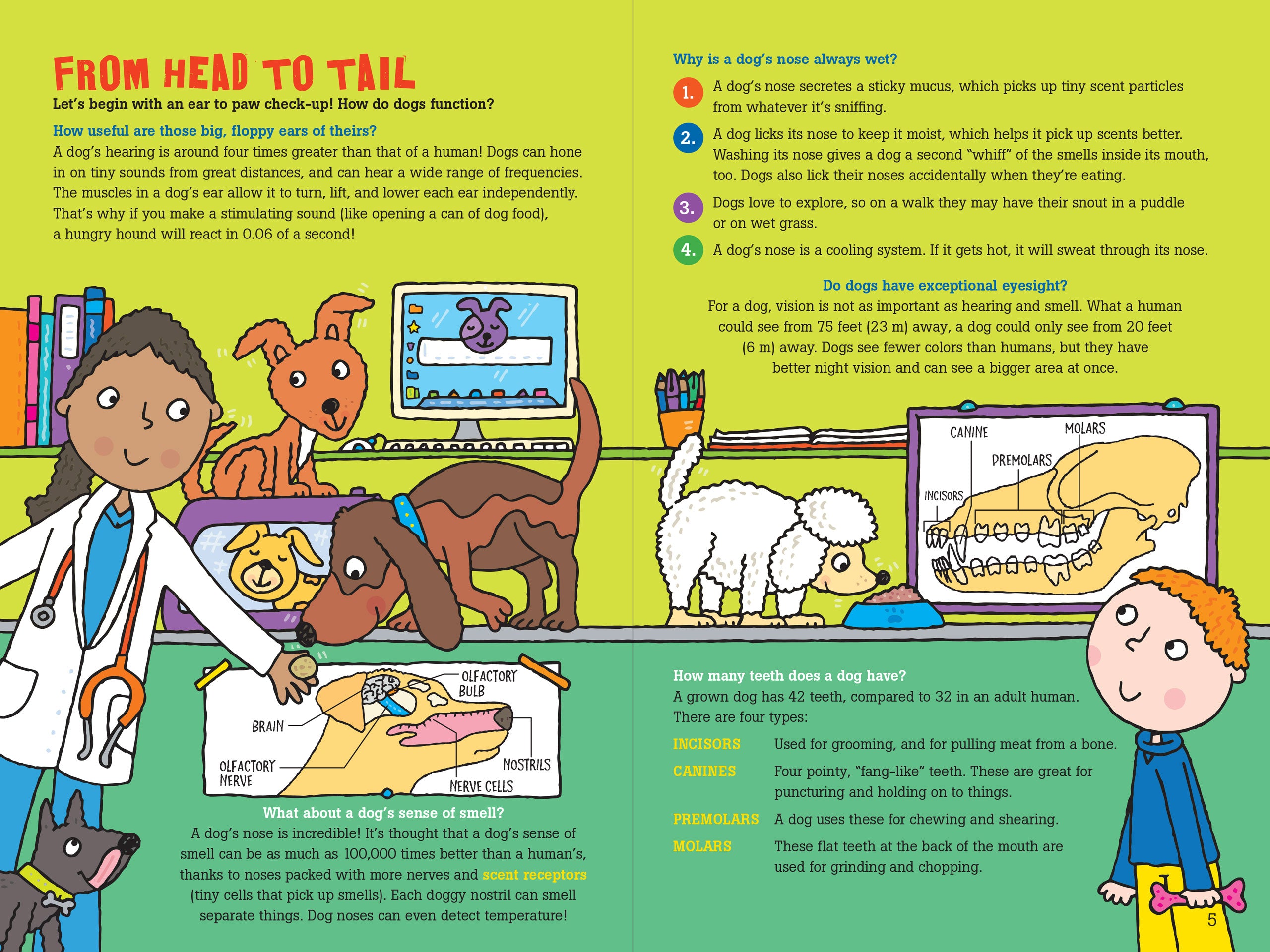 100 Questions About Dogs    