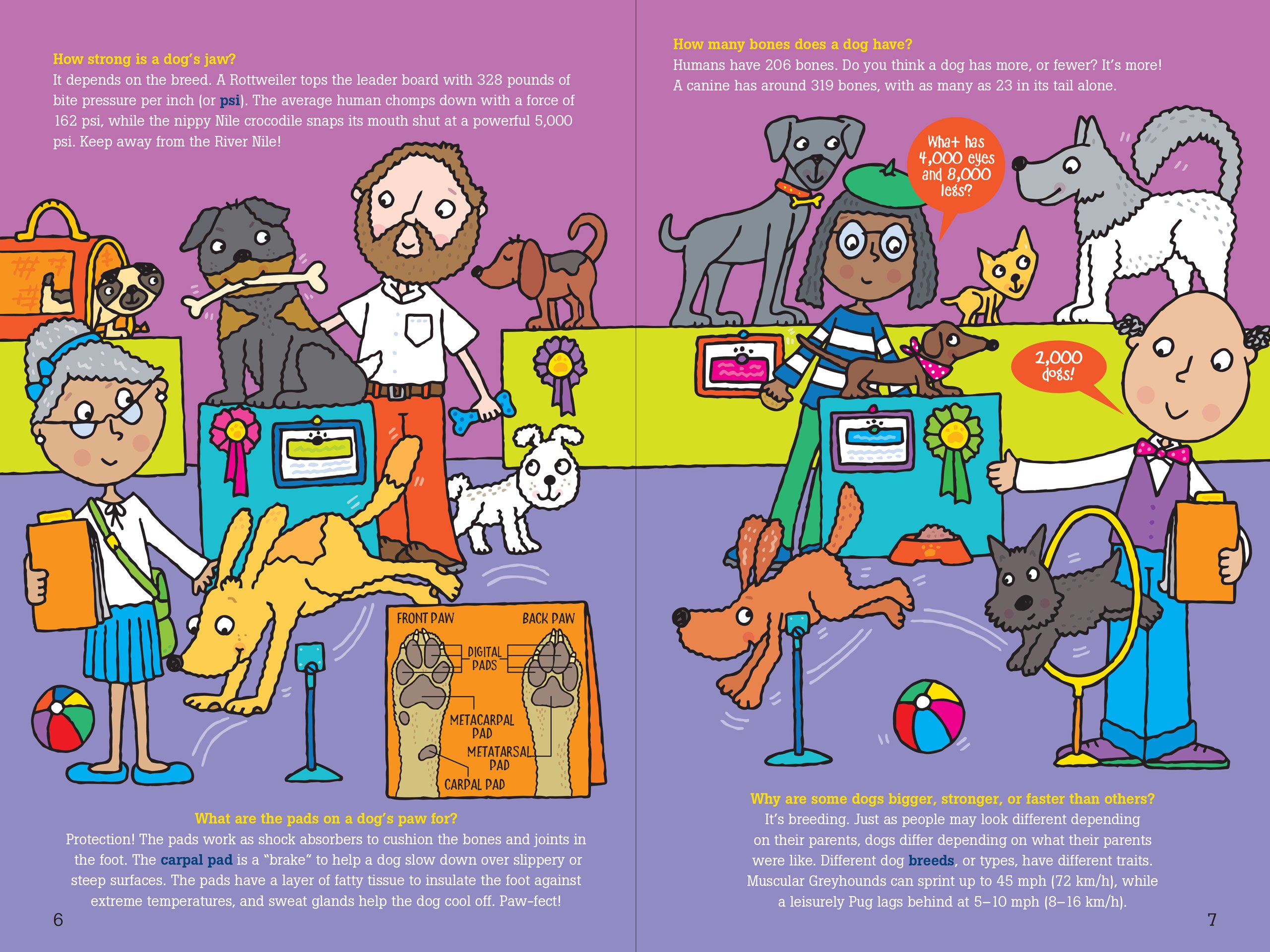 100 Questions About Dogs    