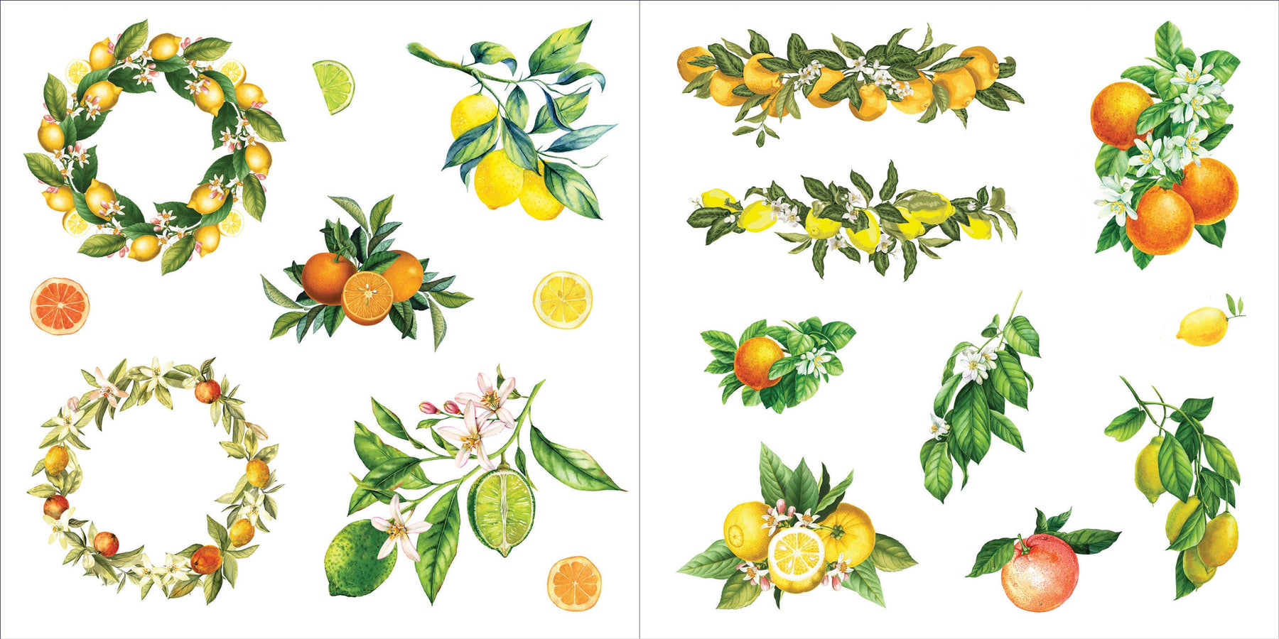 Bunches of Botanicals! A Blooming Sticker Book    
