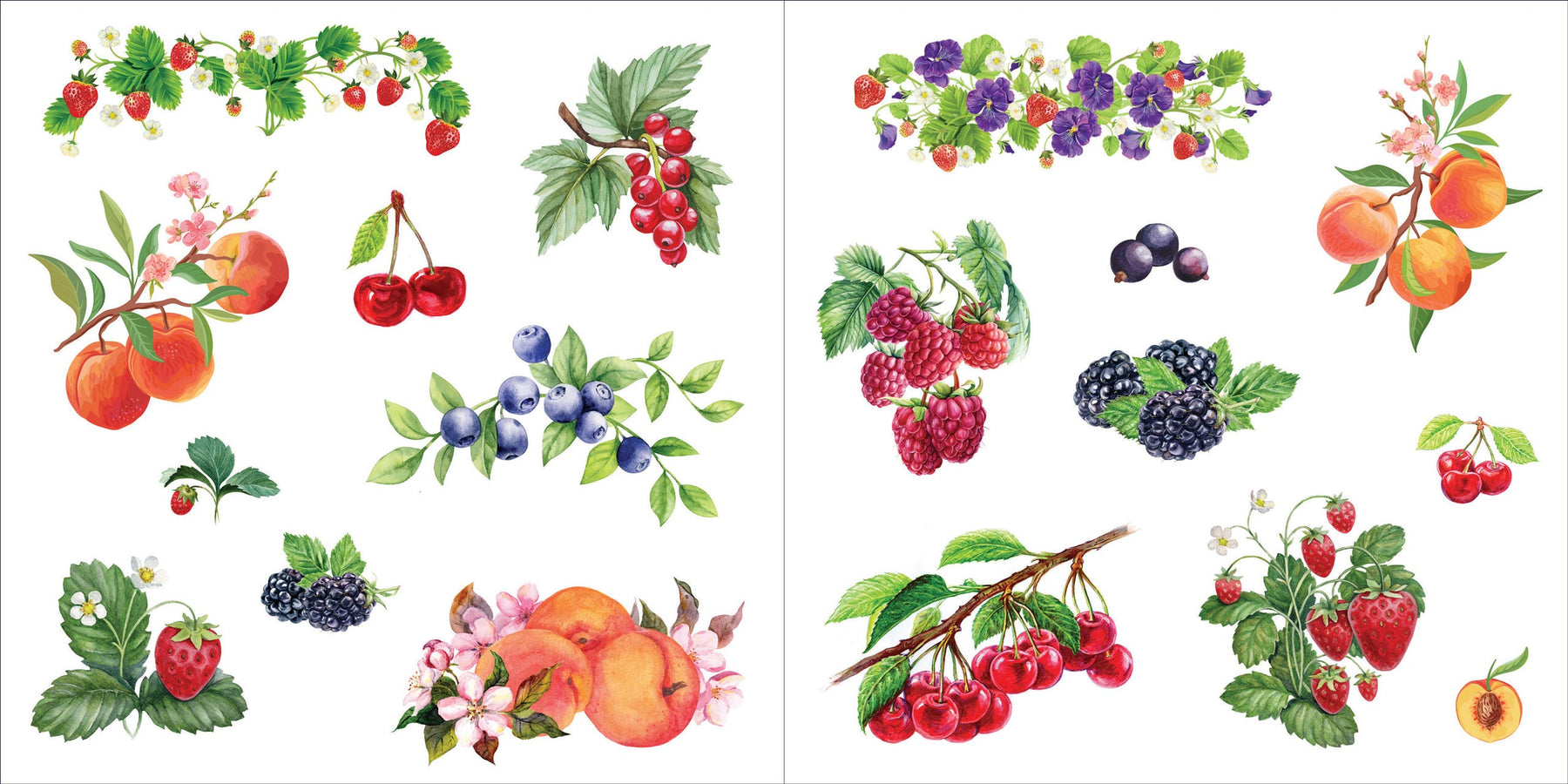 Bunches of Botanicals! A Blooming Sticker Book    