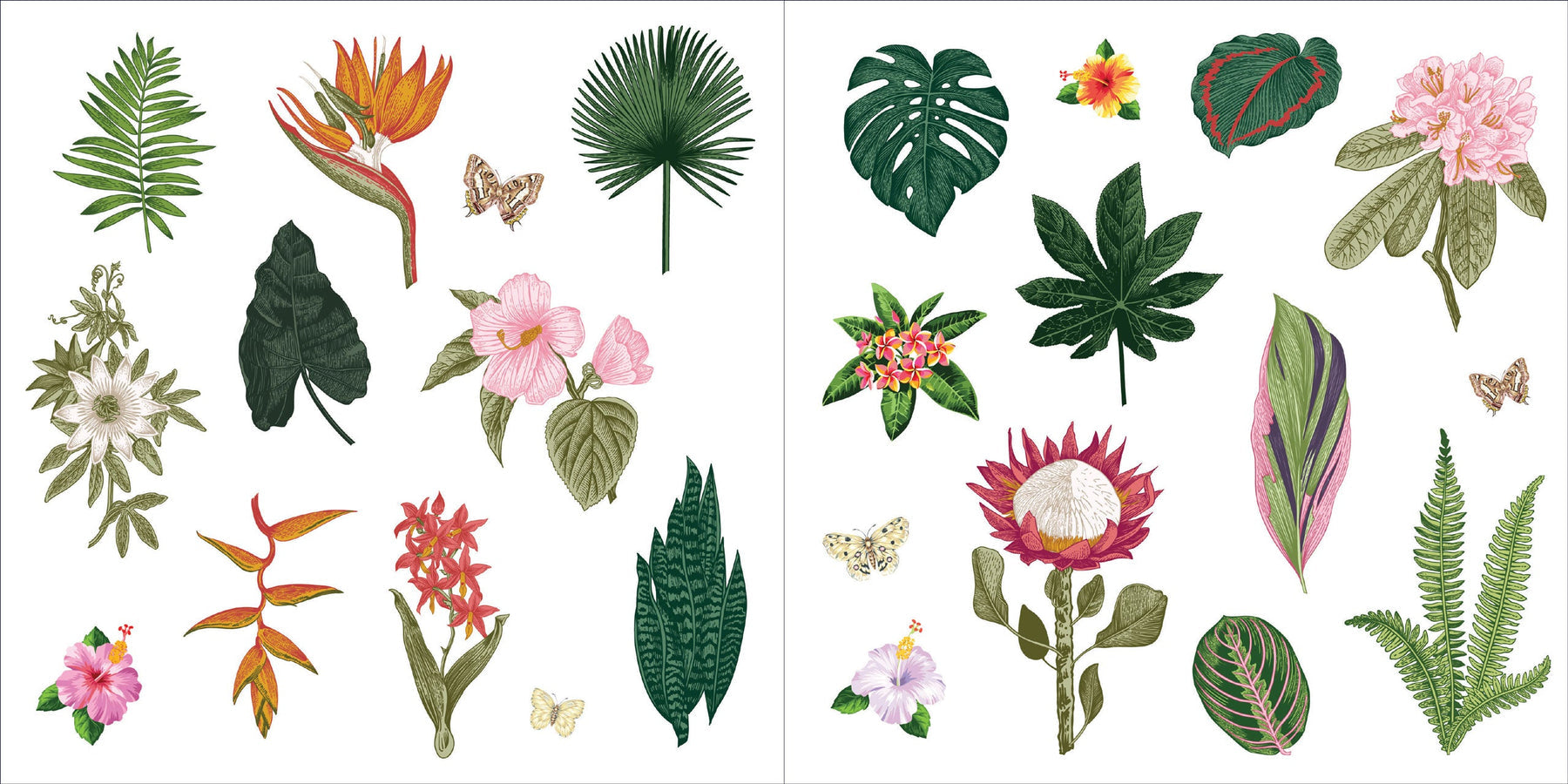 Bunches of Botanicals! A Blooming Sticker Book    